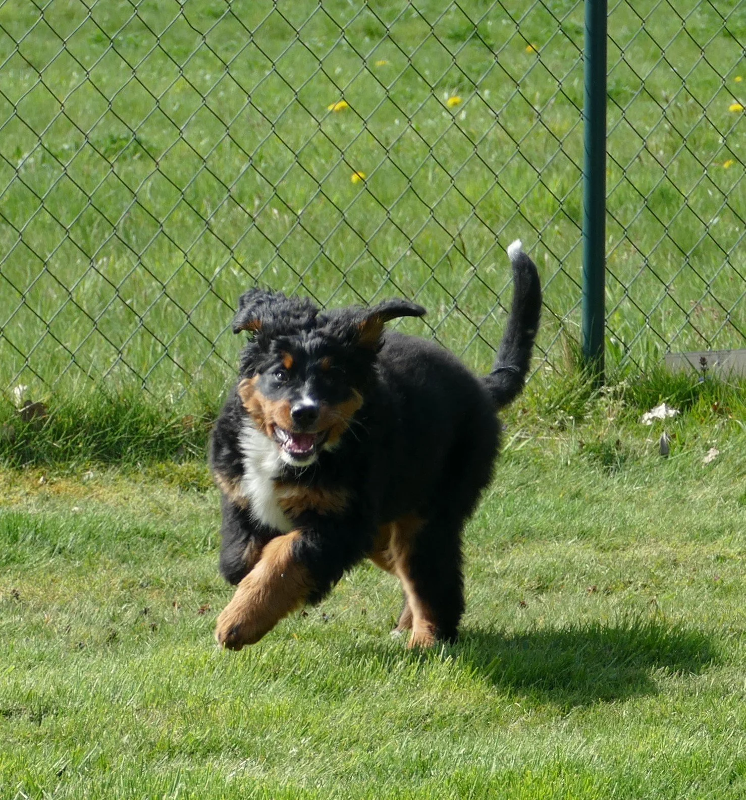 P1240865.JPG