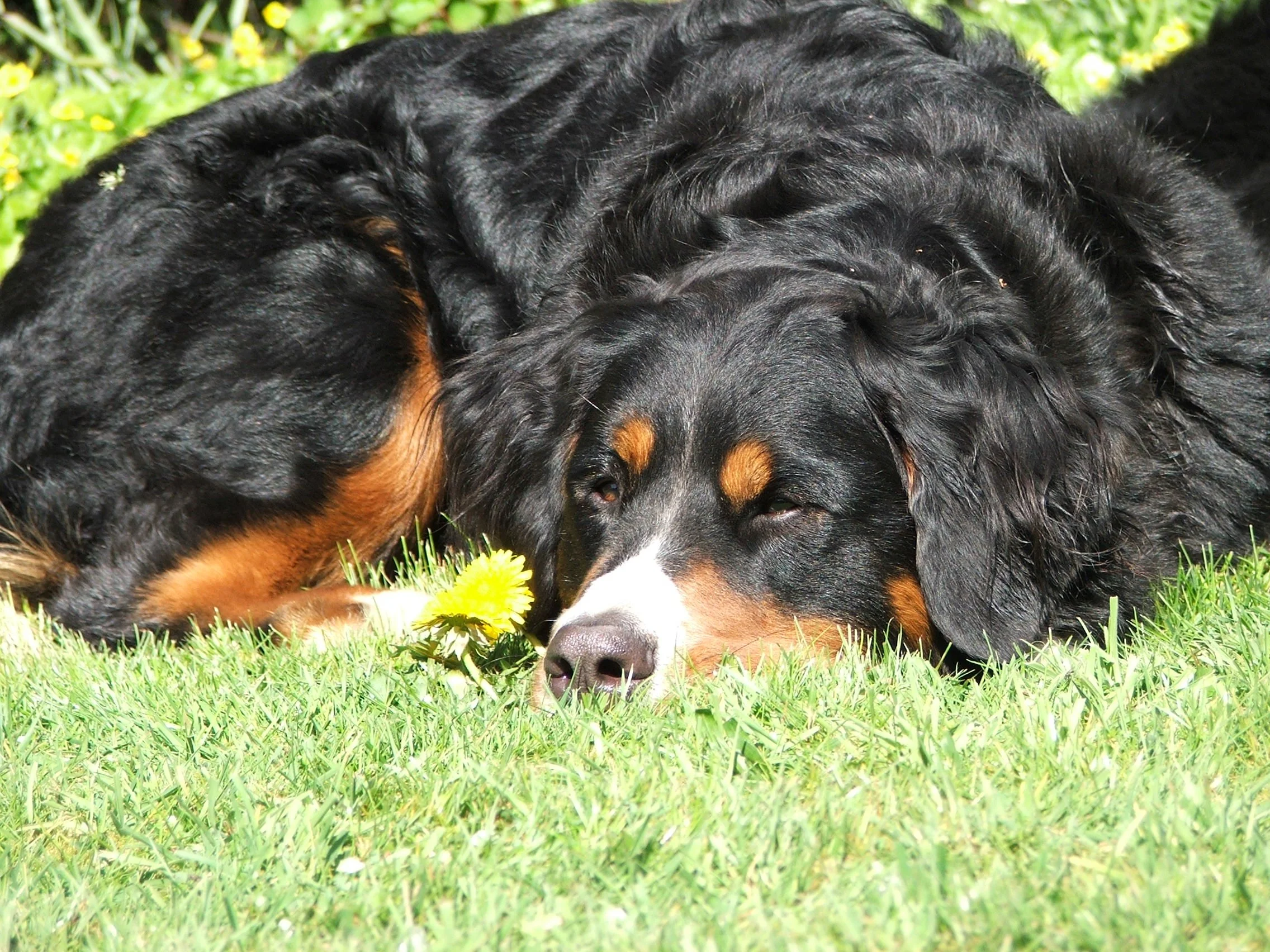 DSCF0416.JPG