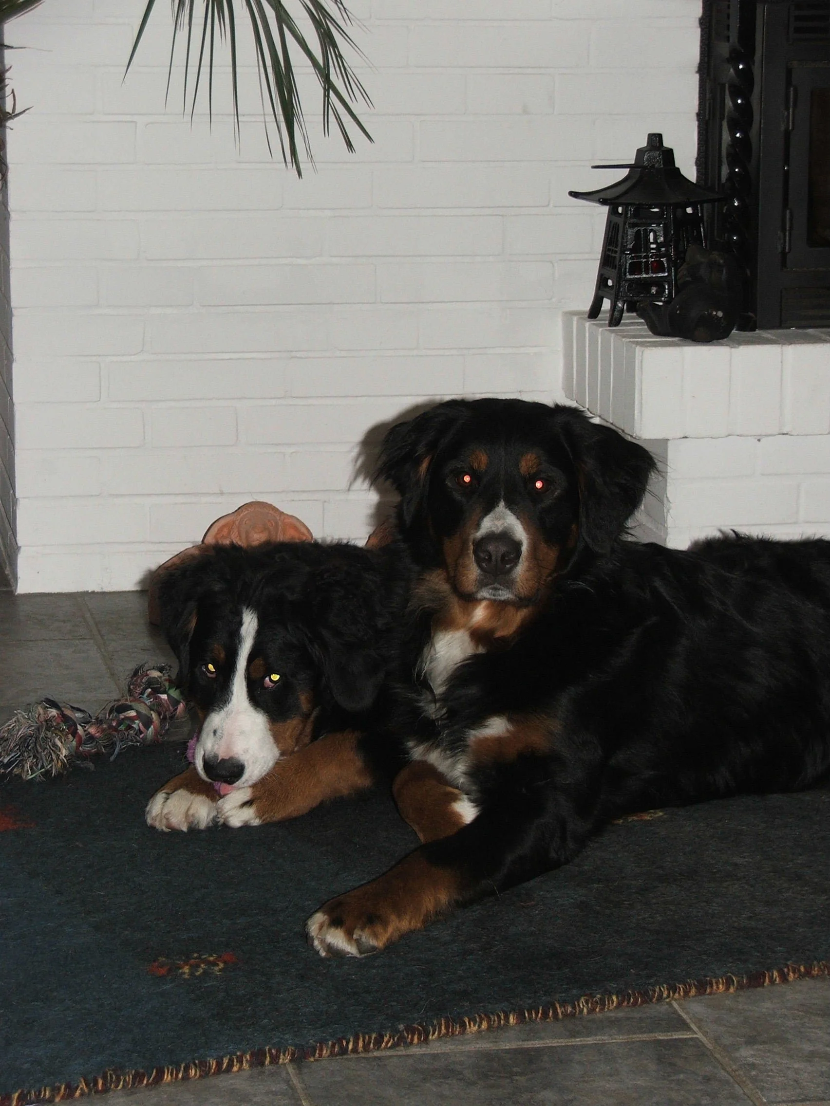 Tyla_Aimee2008_0312_2.JPG
