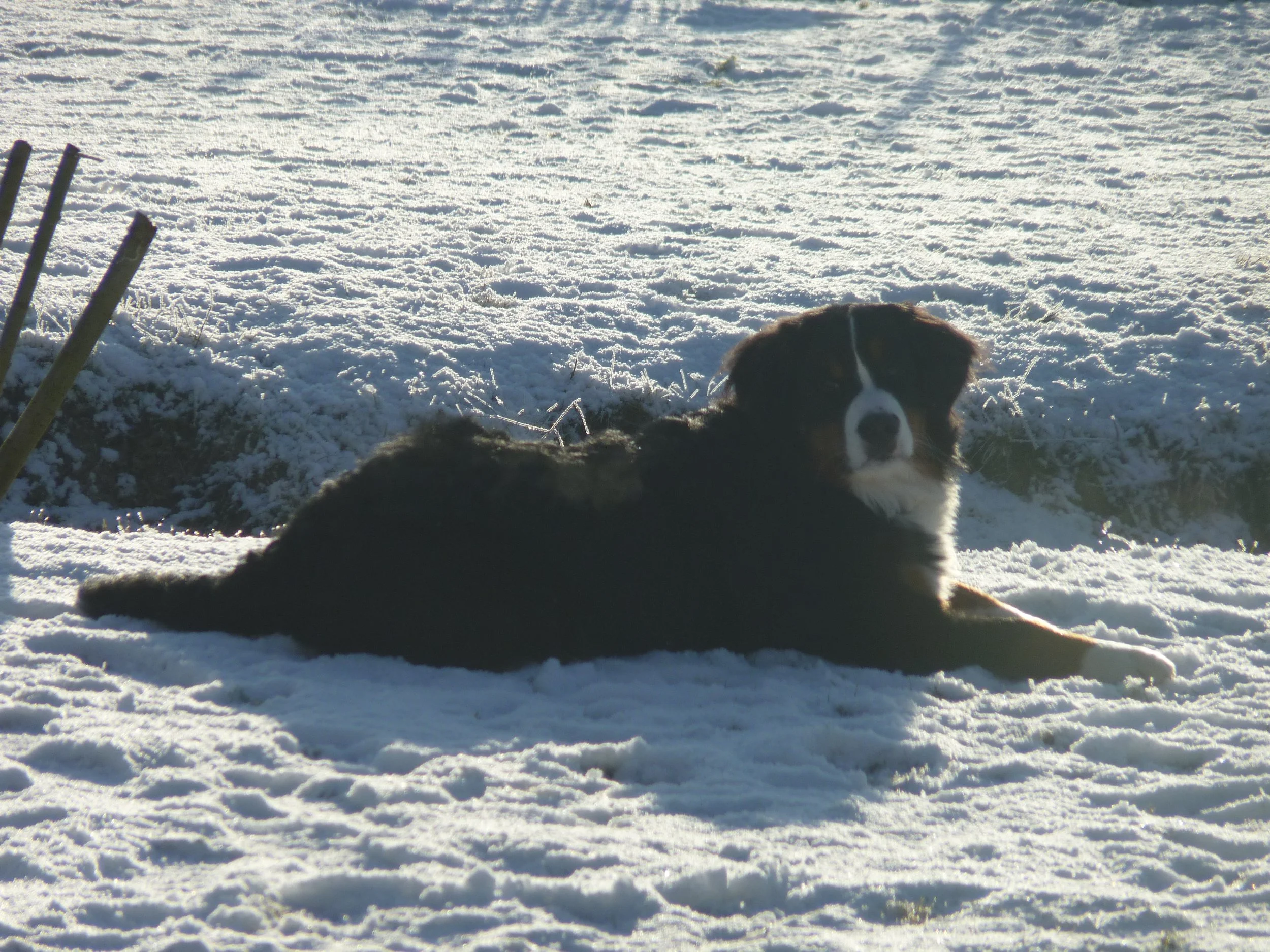 Erster Schnee ist immer was Besonderes
