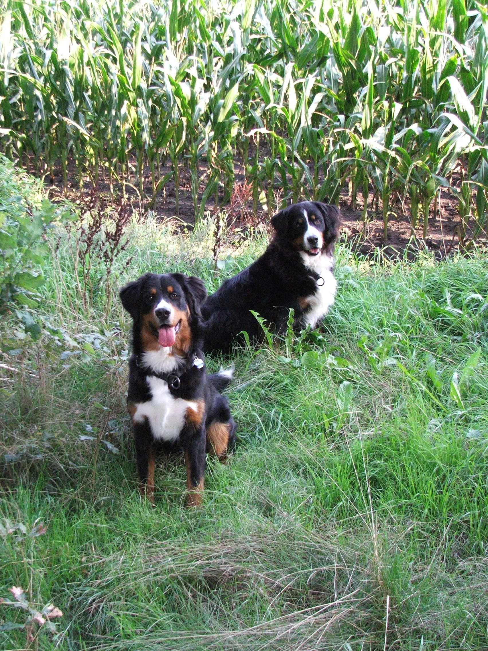 Unglaublich wie schnell Tyla groß geworden ist (Herbst 2006)