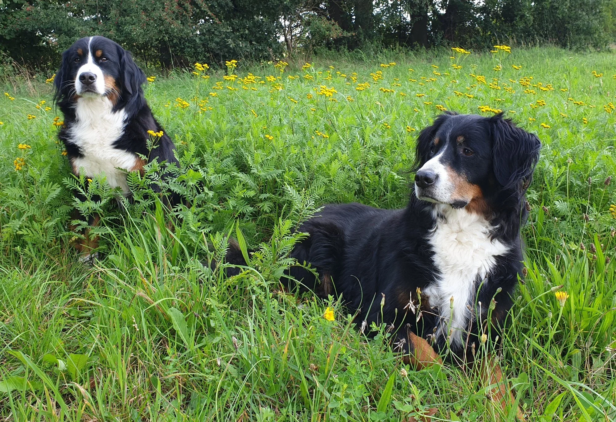 Mila und Raya (September 2020)