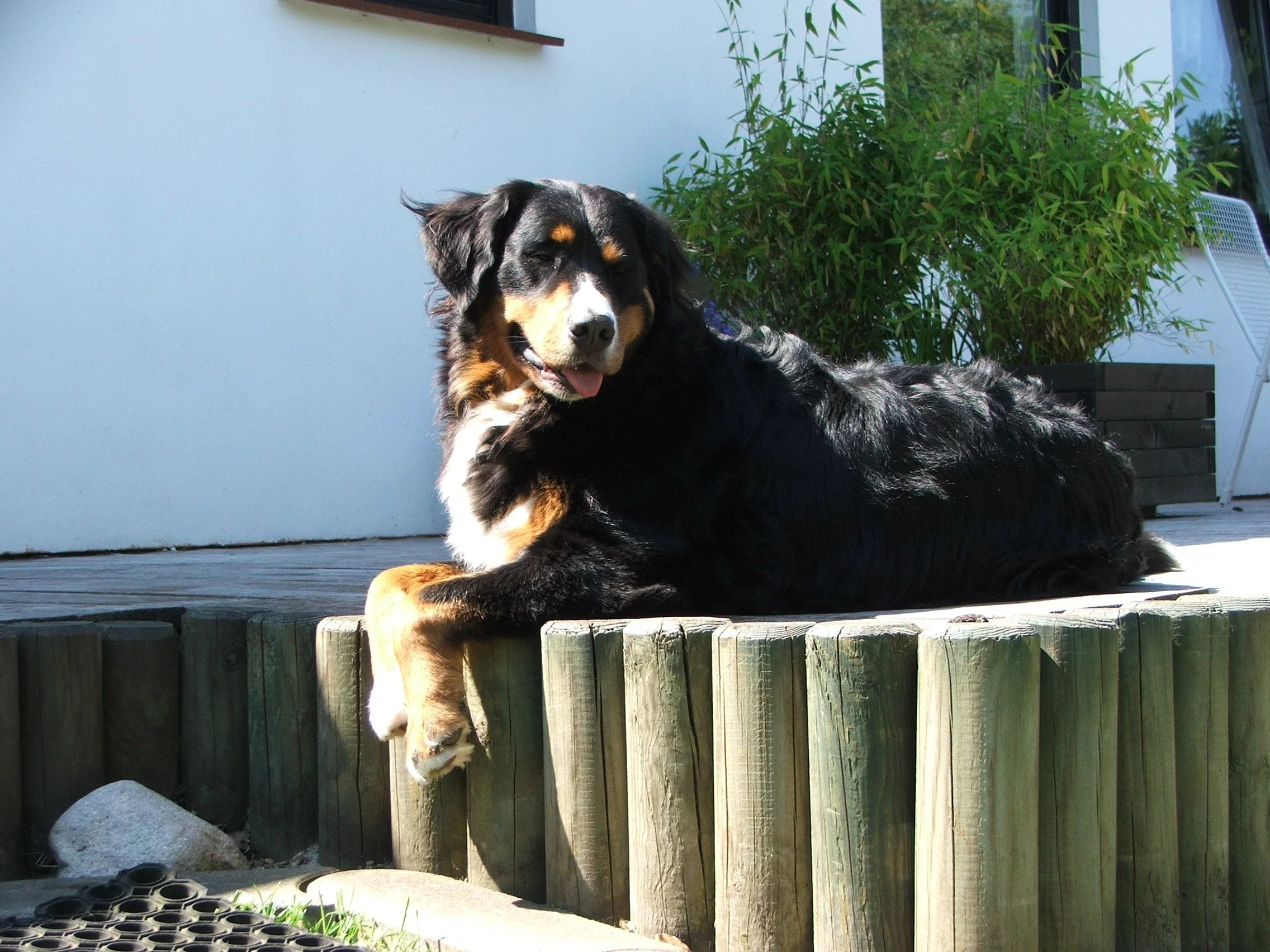 DSCF0732.JPG