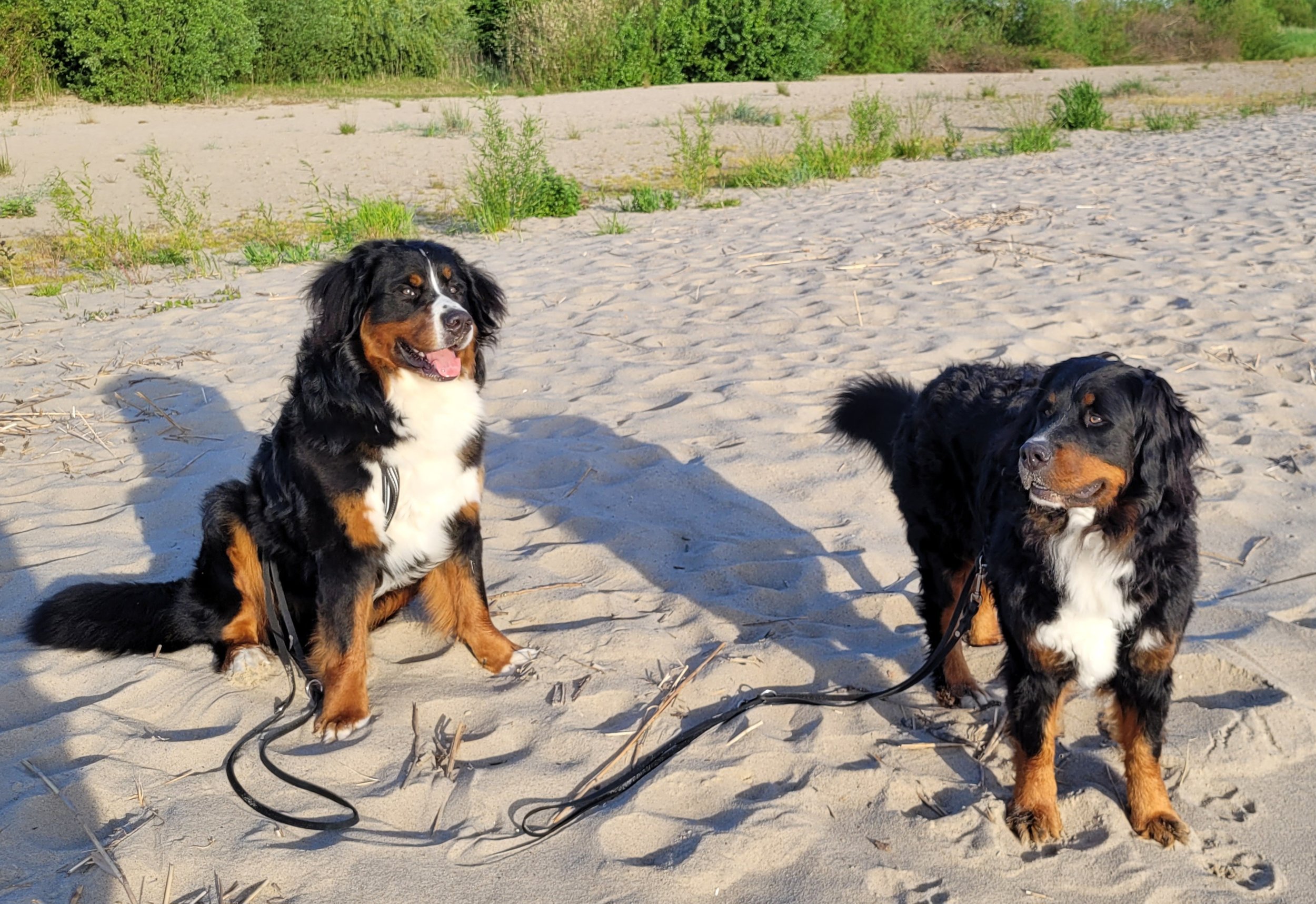 Elbstrand