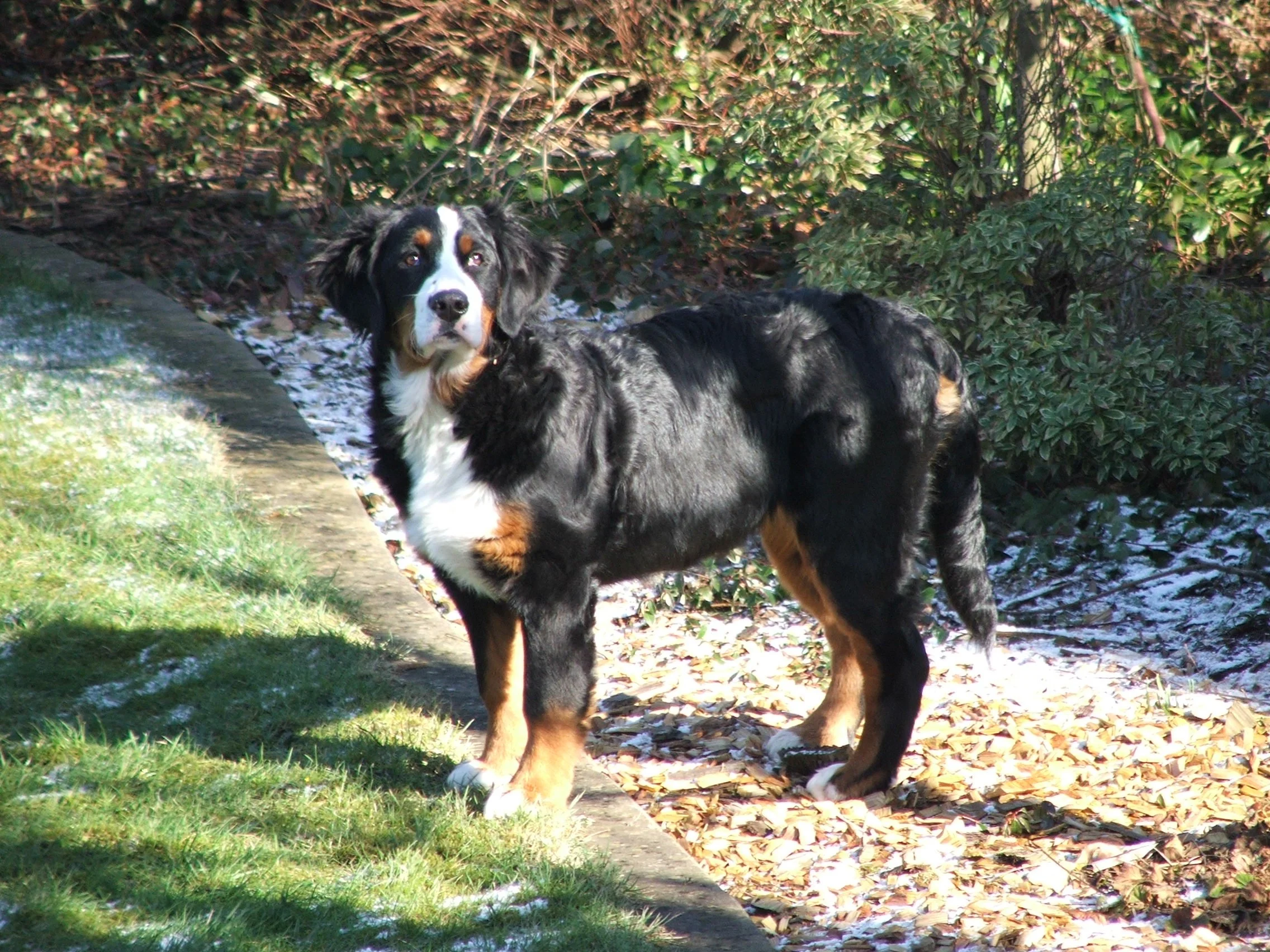 Aimee2008_0305_1.JPG
