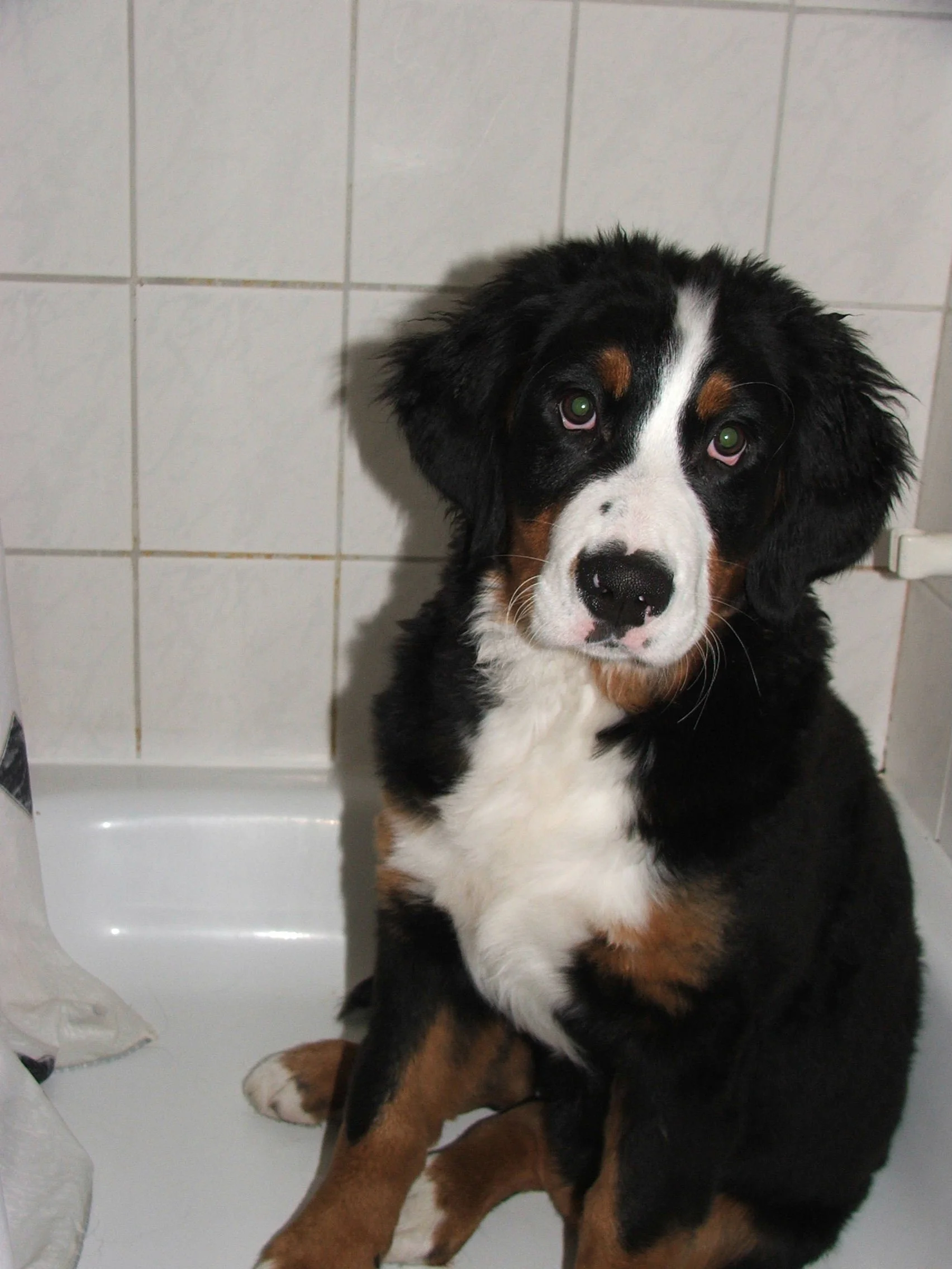 In der Dusche sitzen, das fand sie eine Weile richtig gut :-)