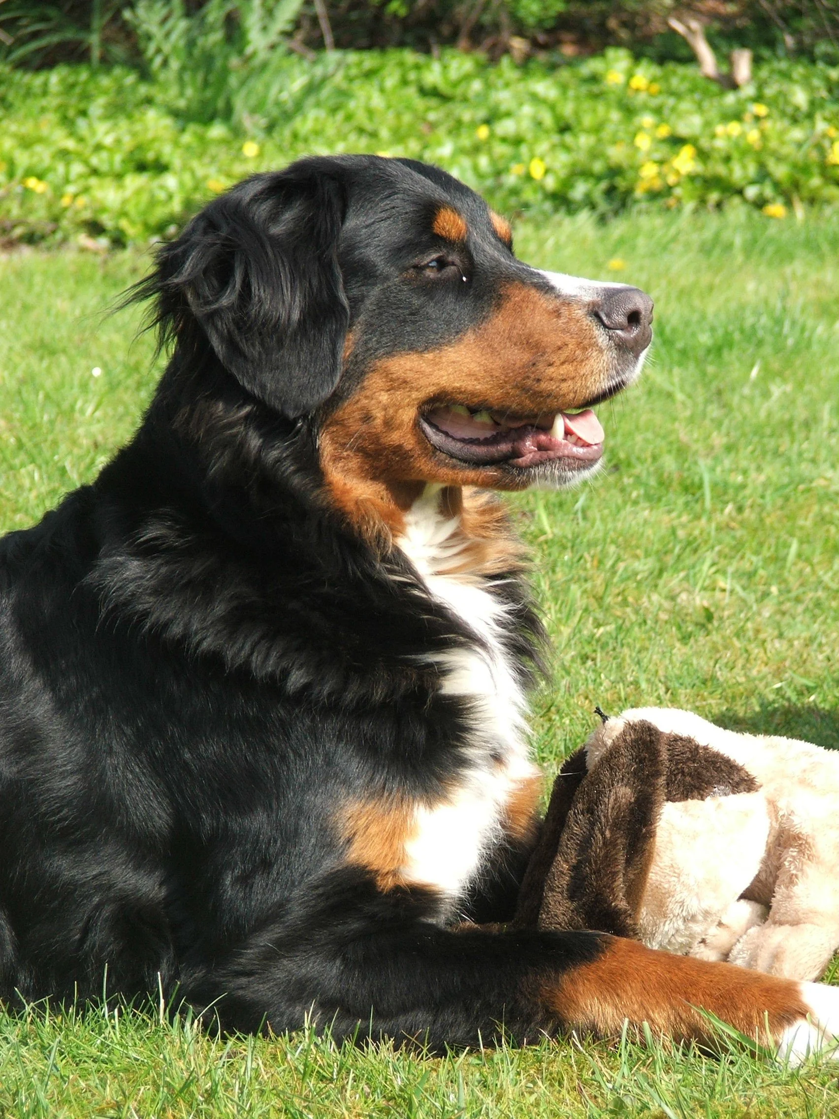 Tyla_2008_0427_2.JPG