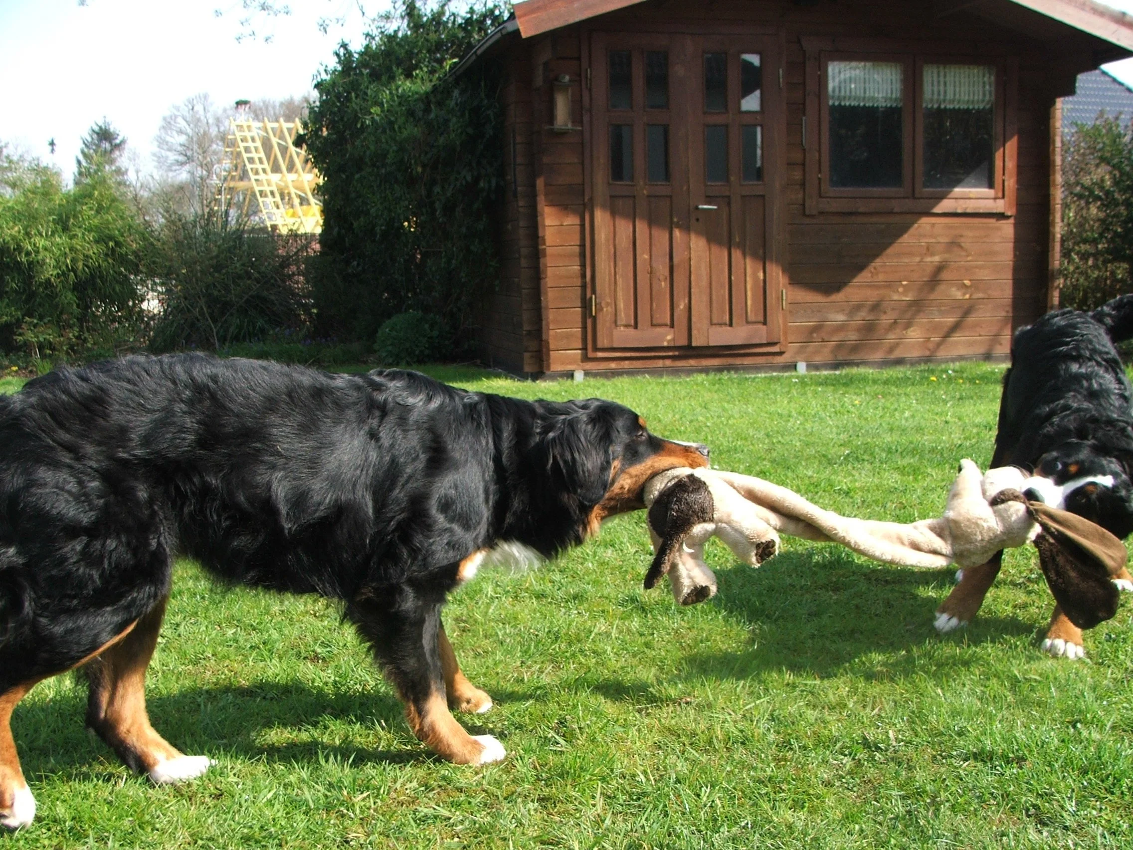 Tyla und Aimee (April 2008)