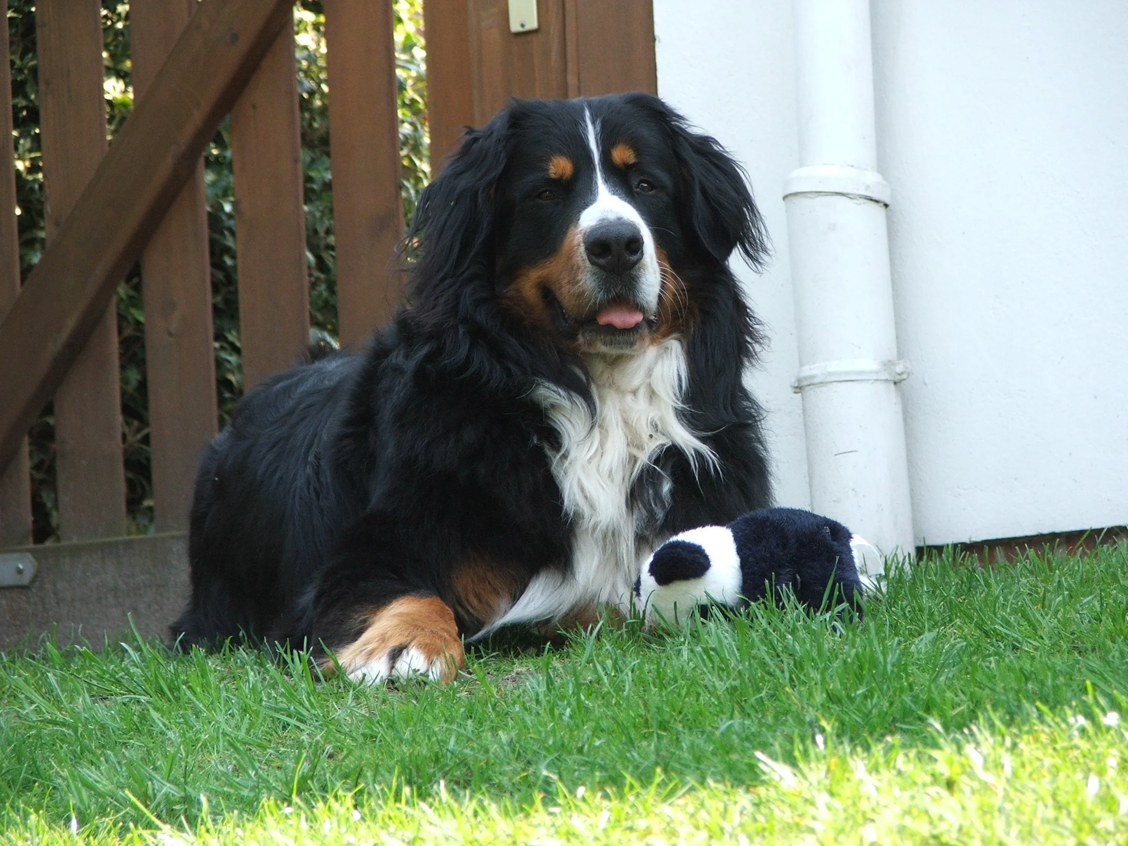DSCF0452.JPG