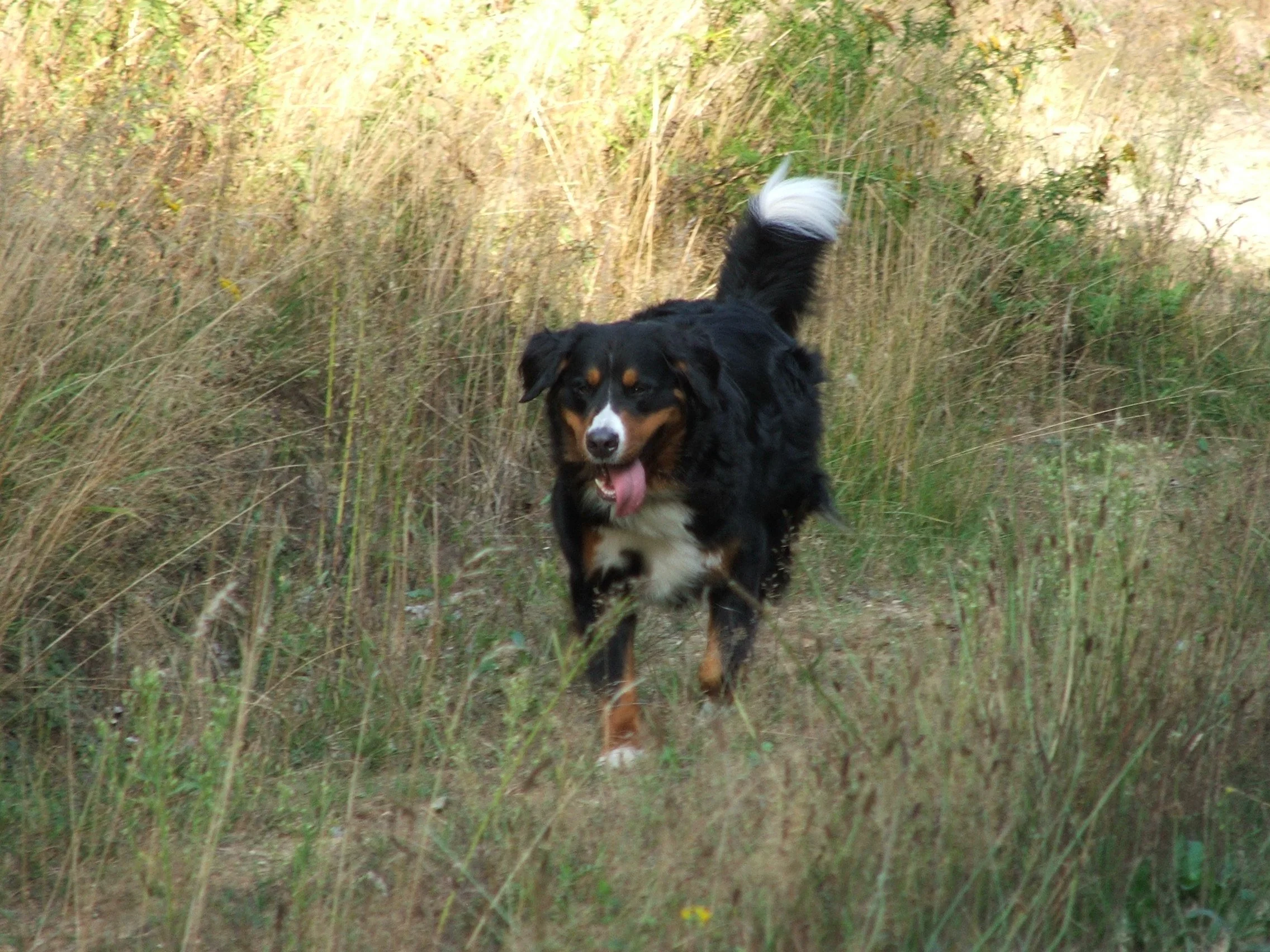 DSCF1615.JPG