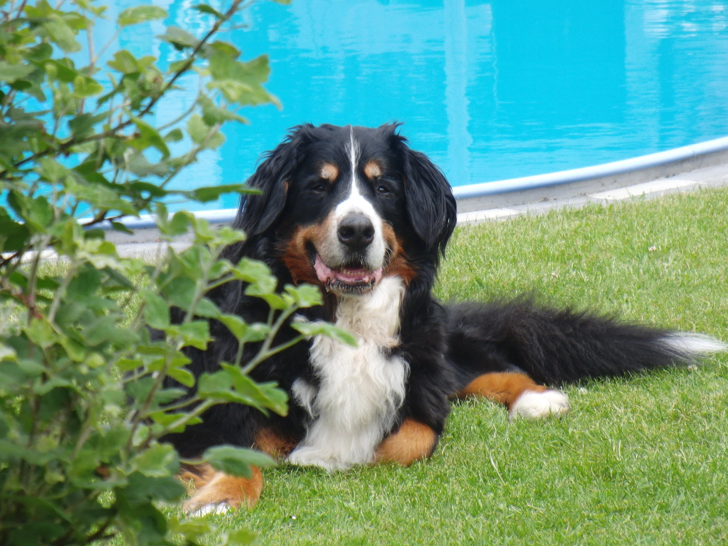 Sommer 2013 bei Freunden...