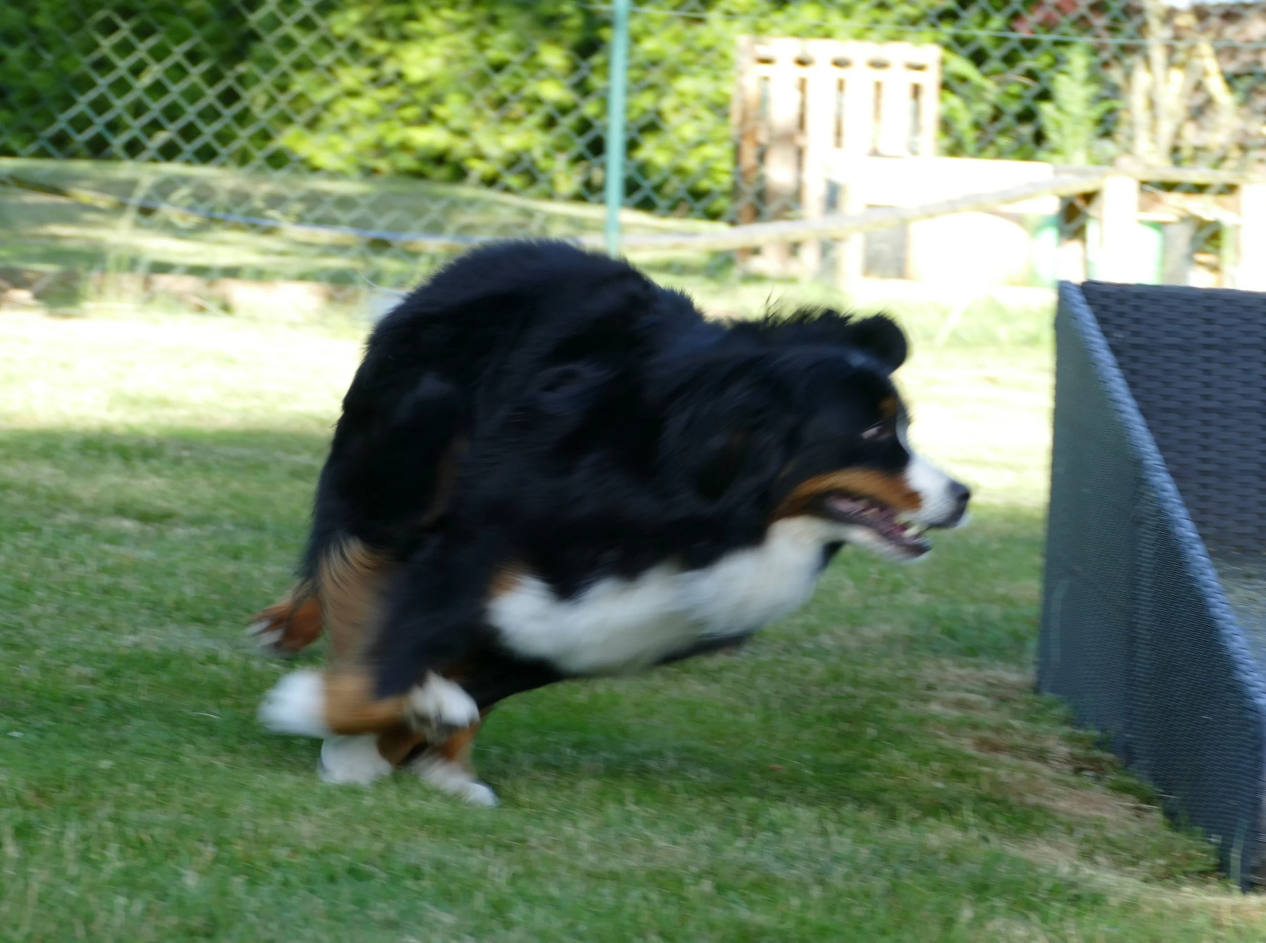 P1250017.JPG