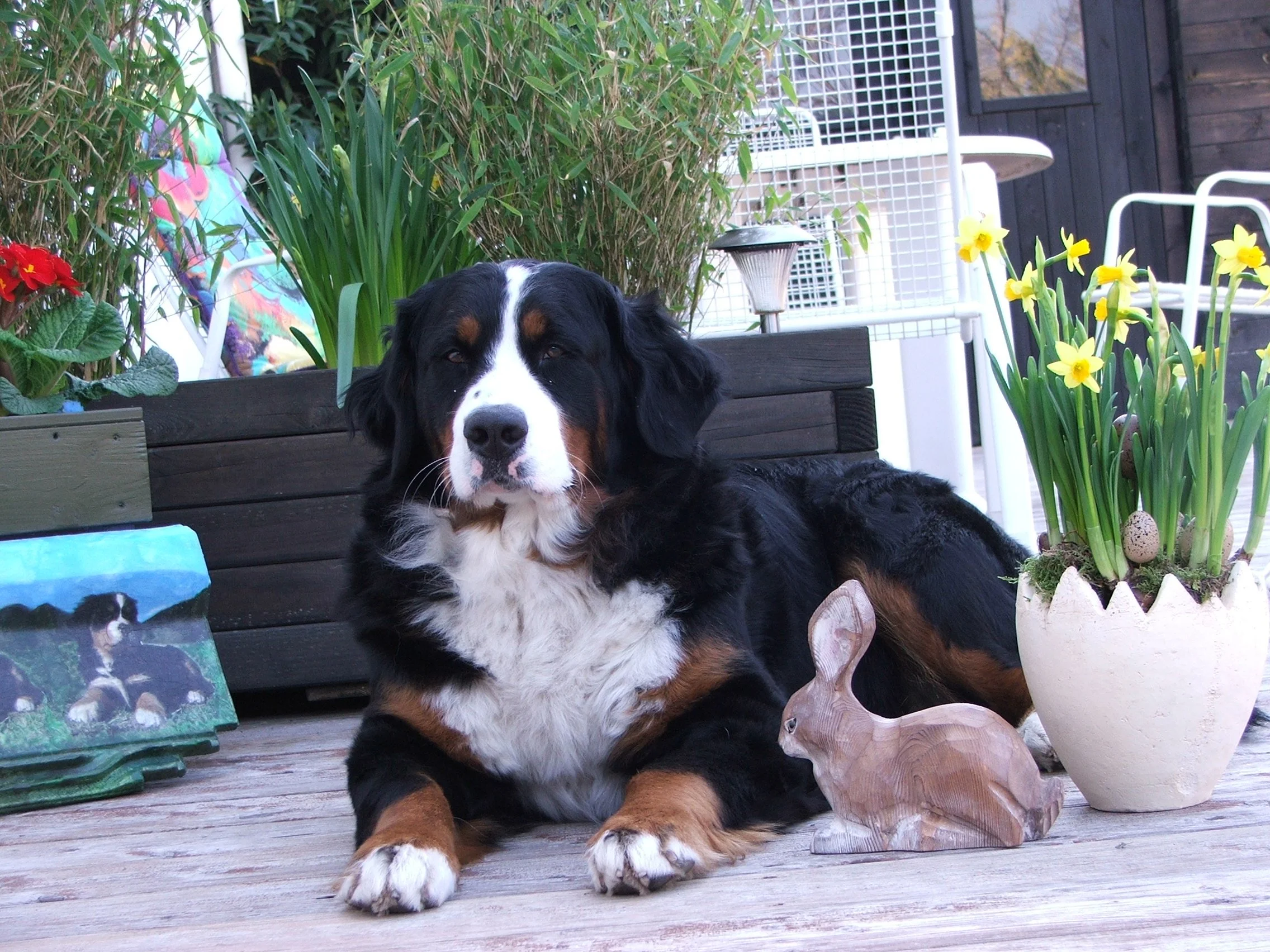 Frohe Ostern