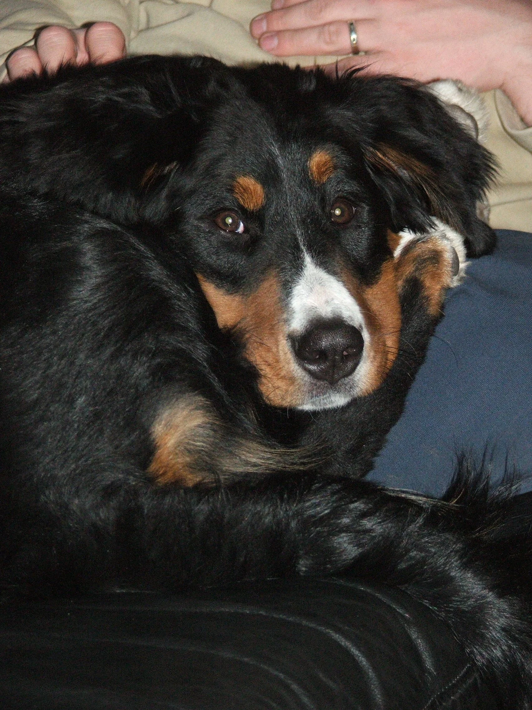 Tyla2006_0318_223322.JPG