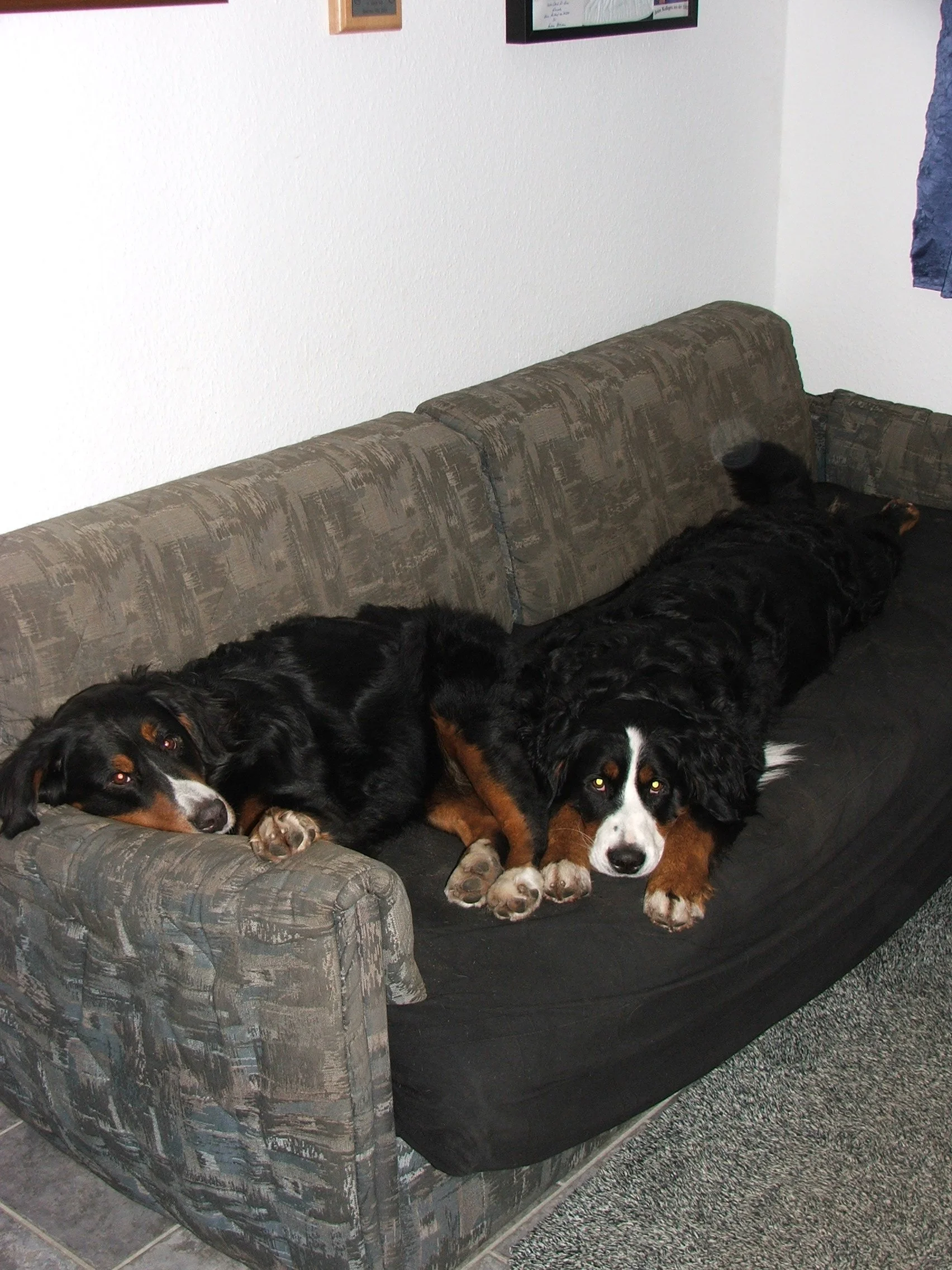 DSCF2630.JPG