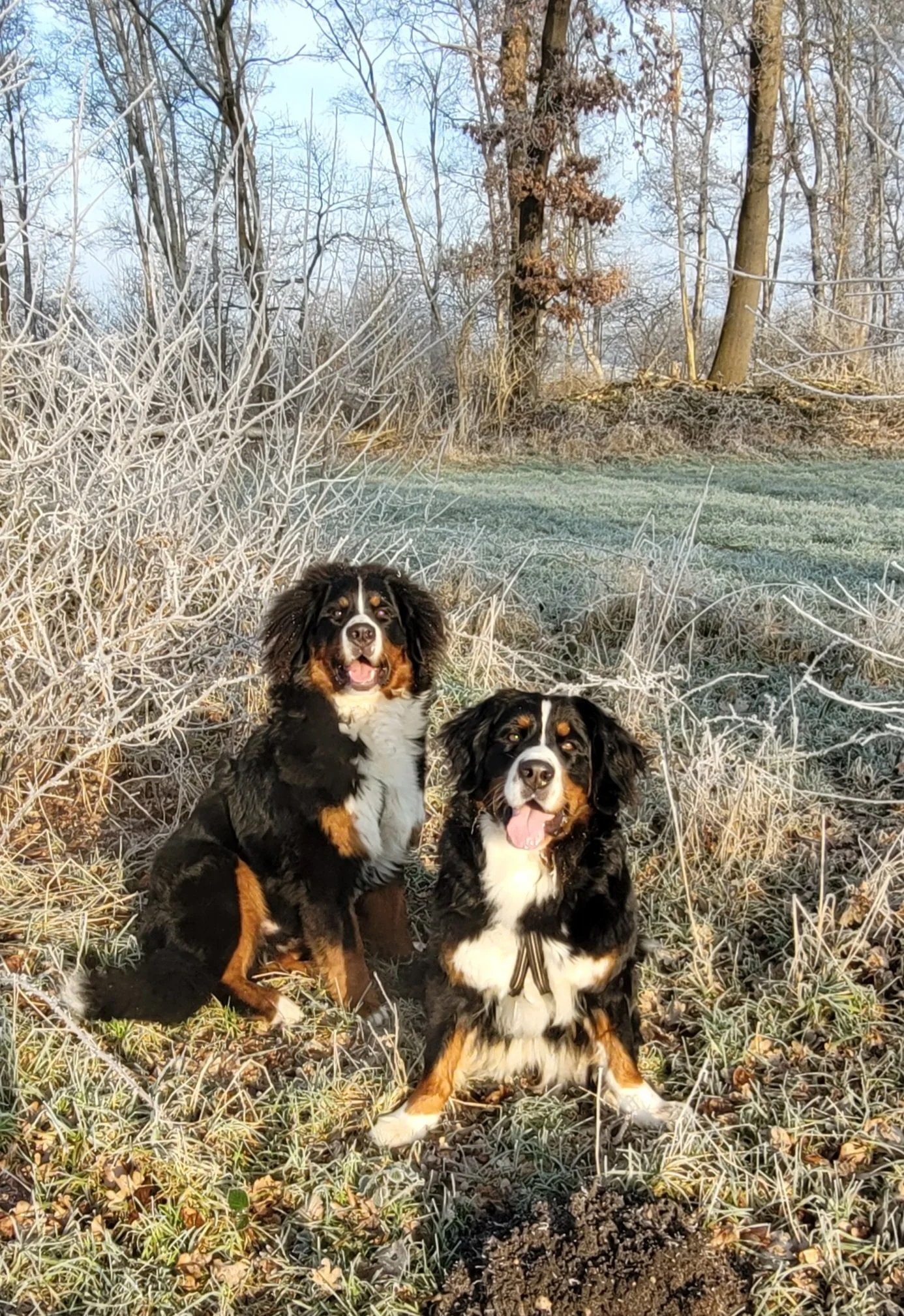 Feivel und Cleo (Februar 2025)