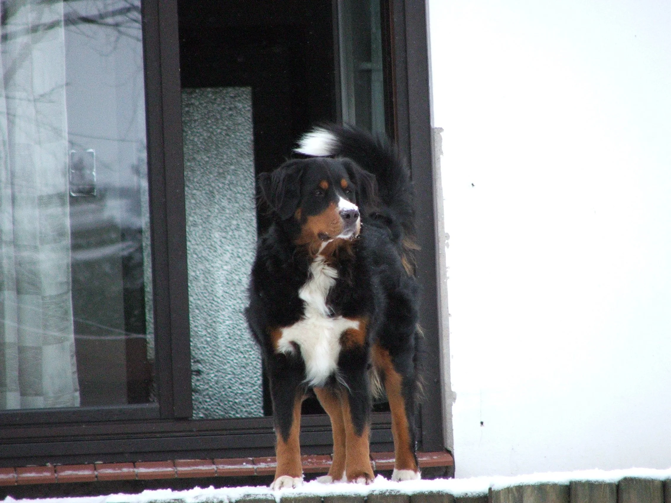DSCF2873.JPG