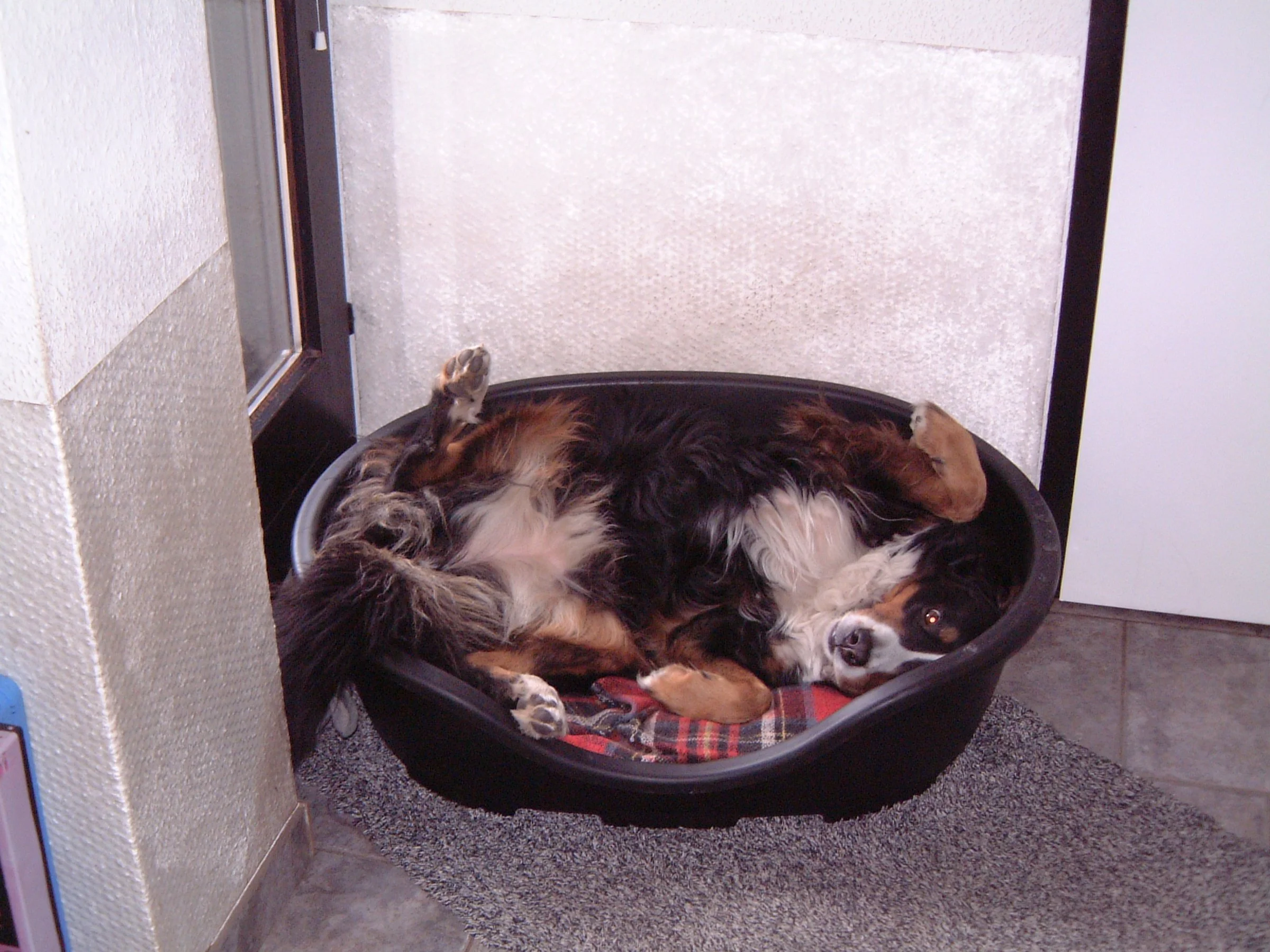 2003_1114_114235AA.JPG