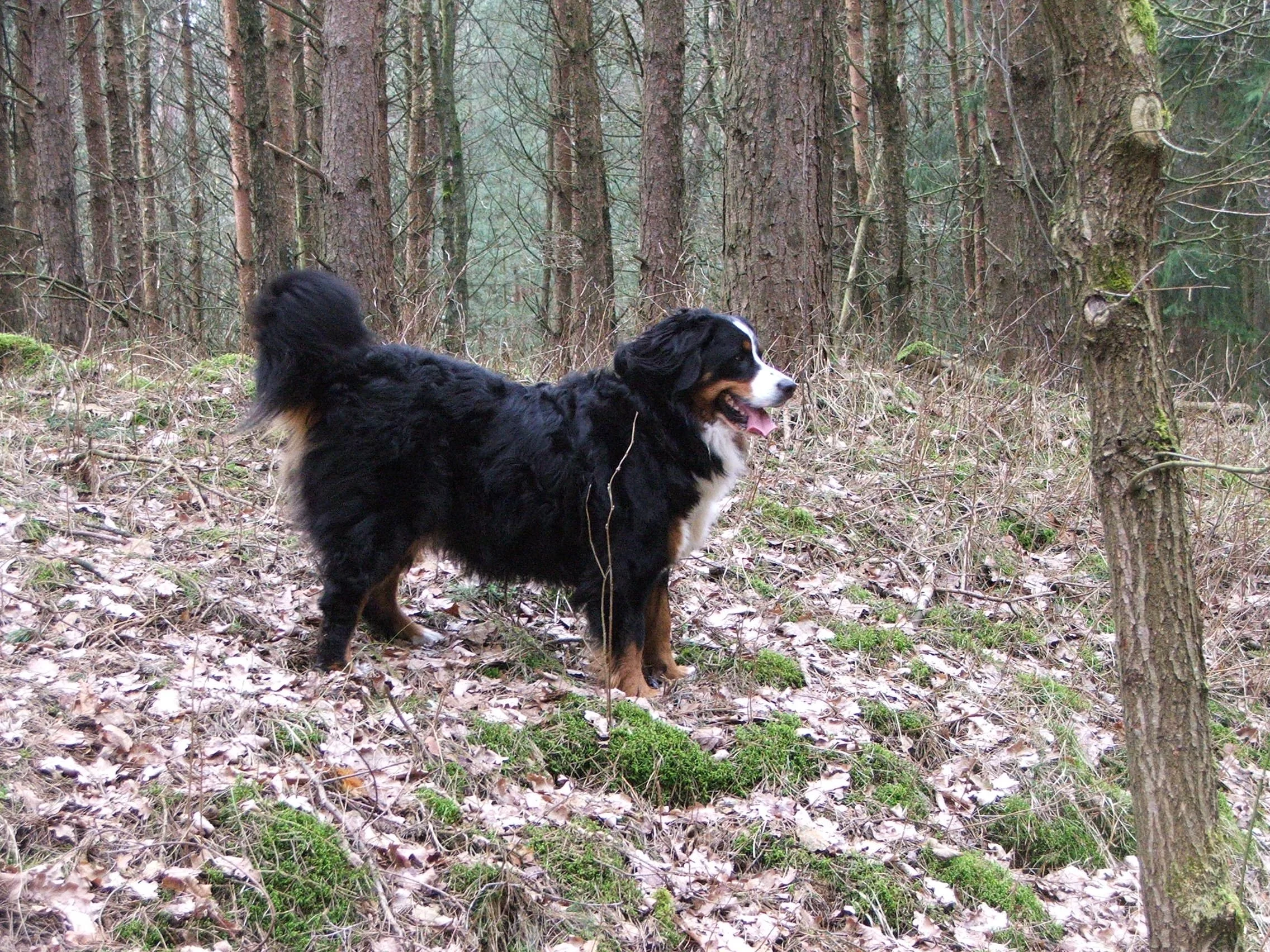 DSCF3611.JPG