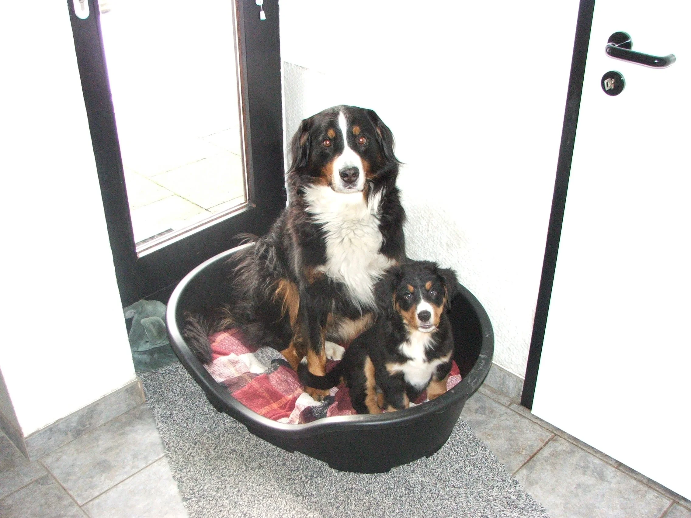 Kenya und Tyla, Was für eine Bescherung :-) (24.12.2005)
