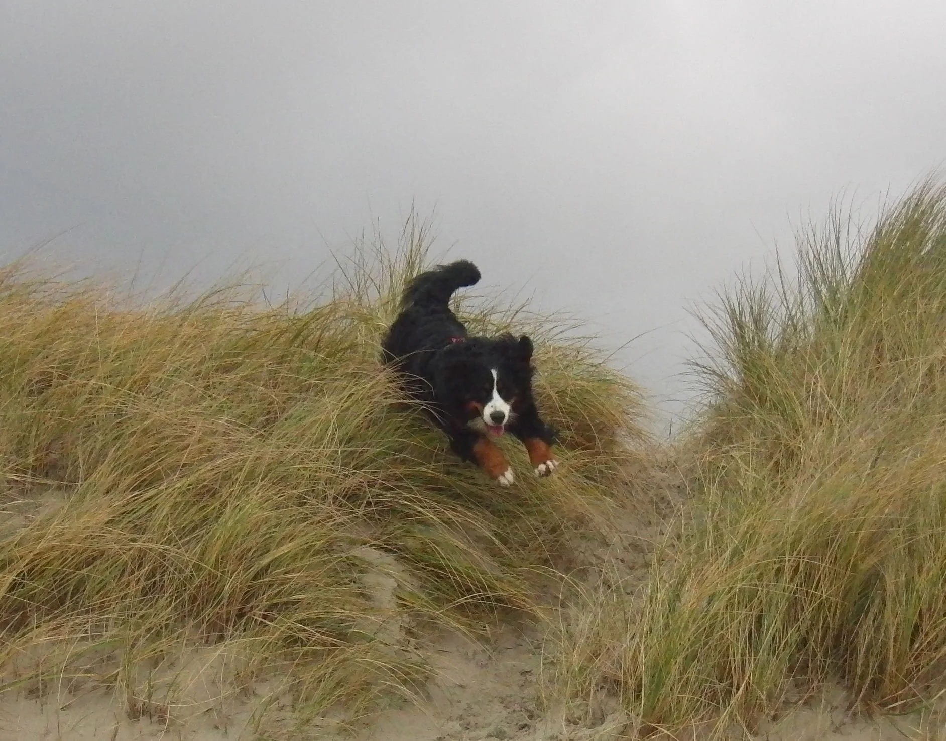 Erstes Mal am Strand in Dänemark 2010 :-)