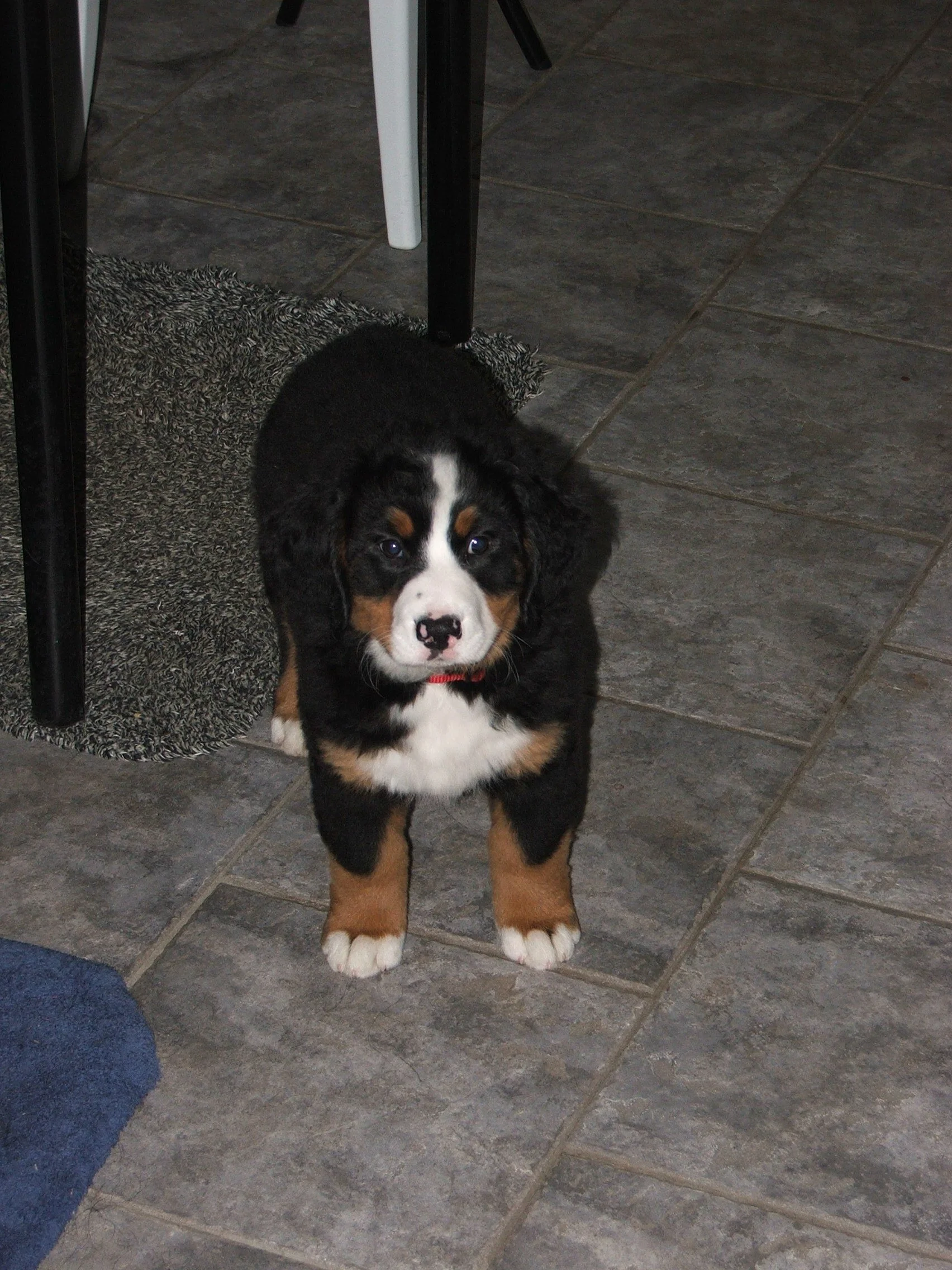 Aimee2007_1208_150418.JPG