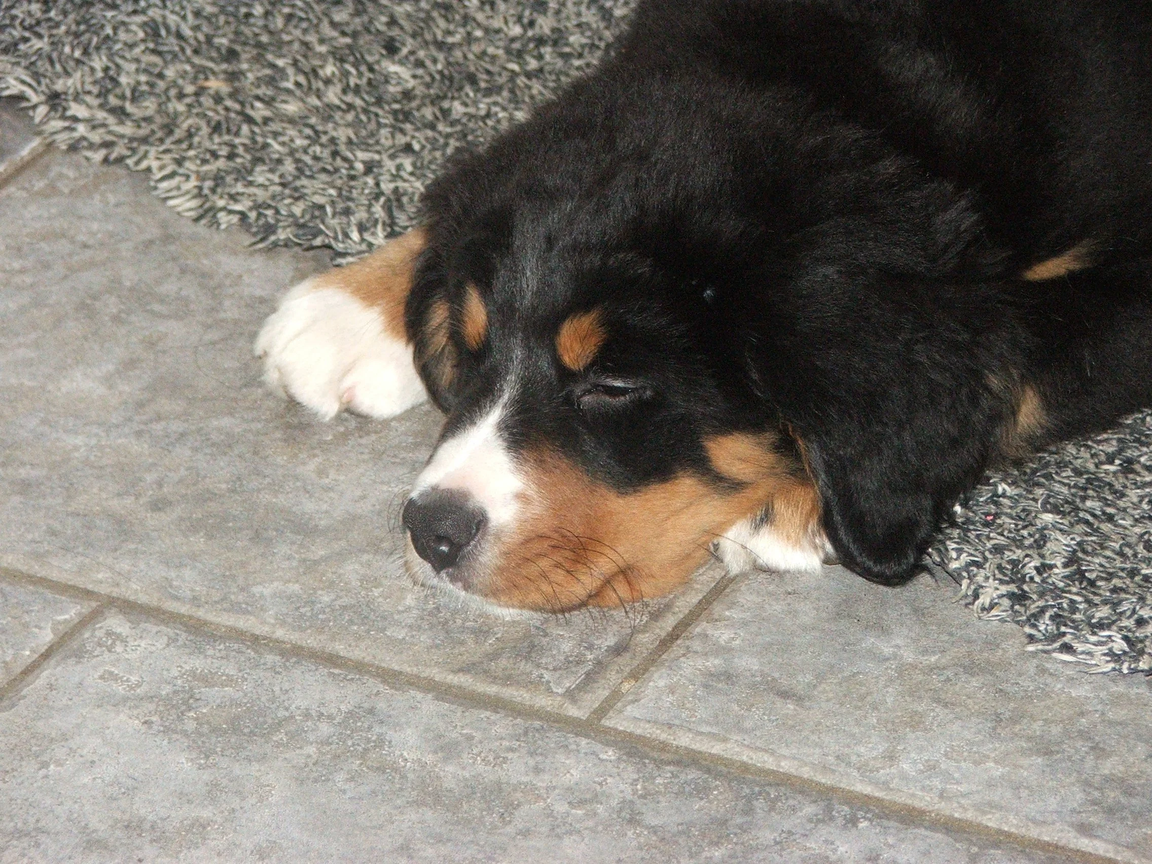 Tyla2005_1224_144545.JPG