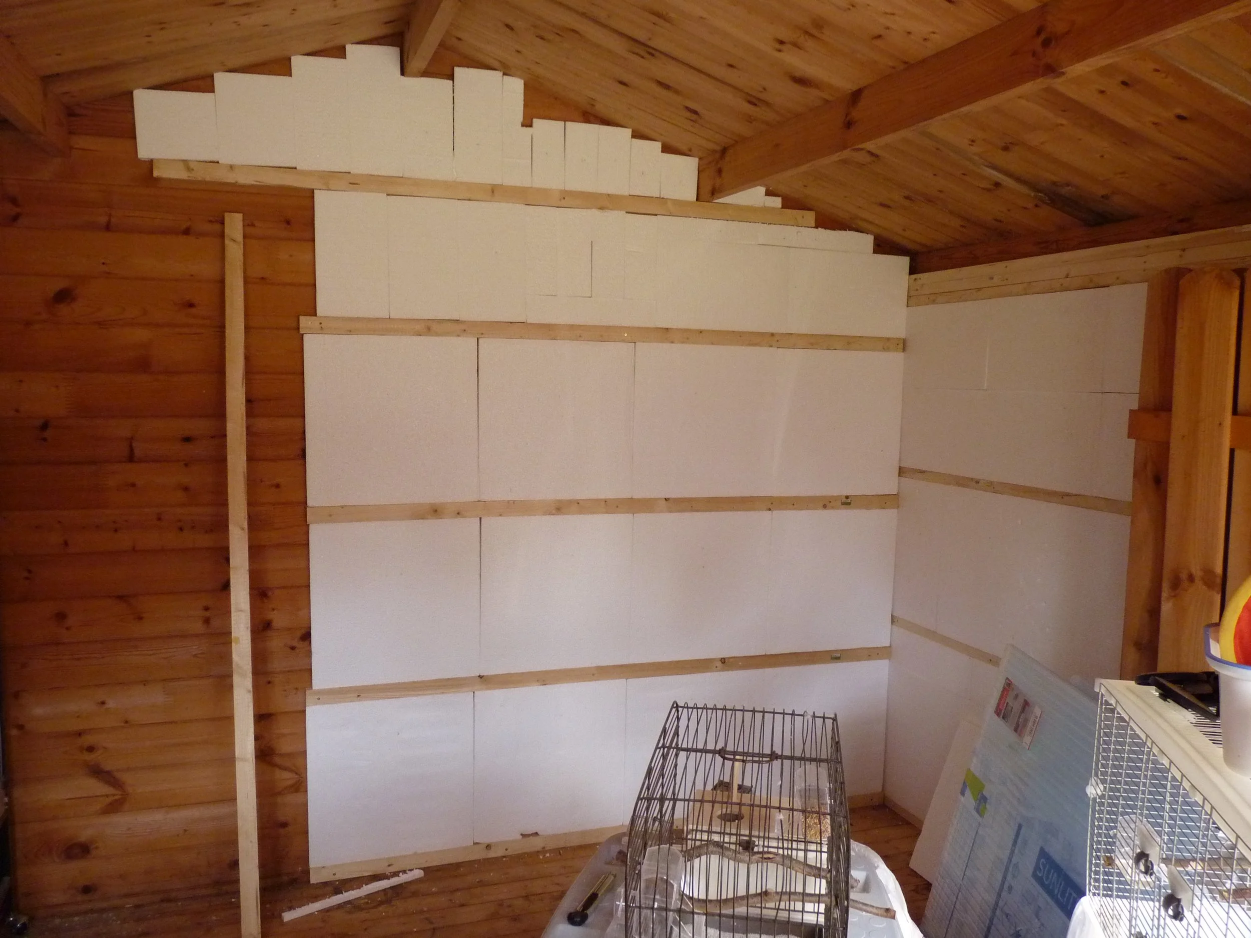 P1100179.JPG