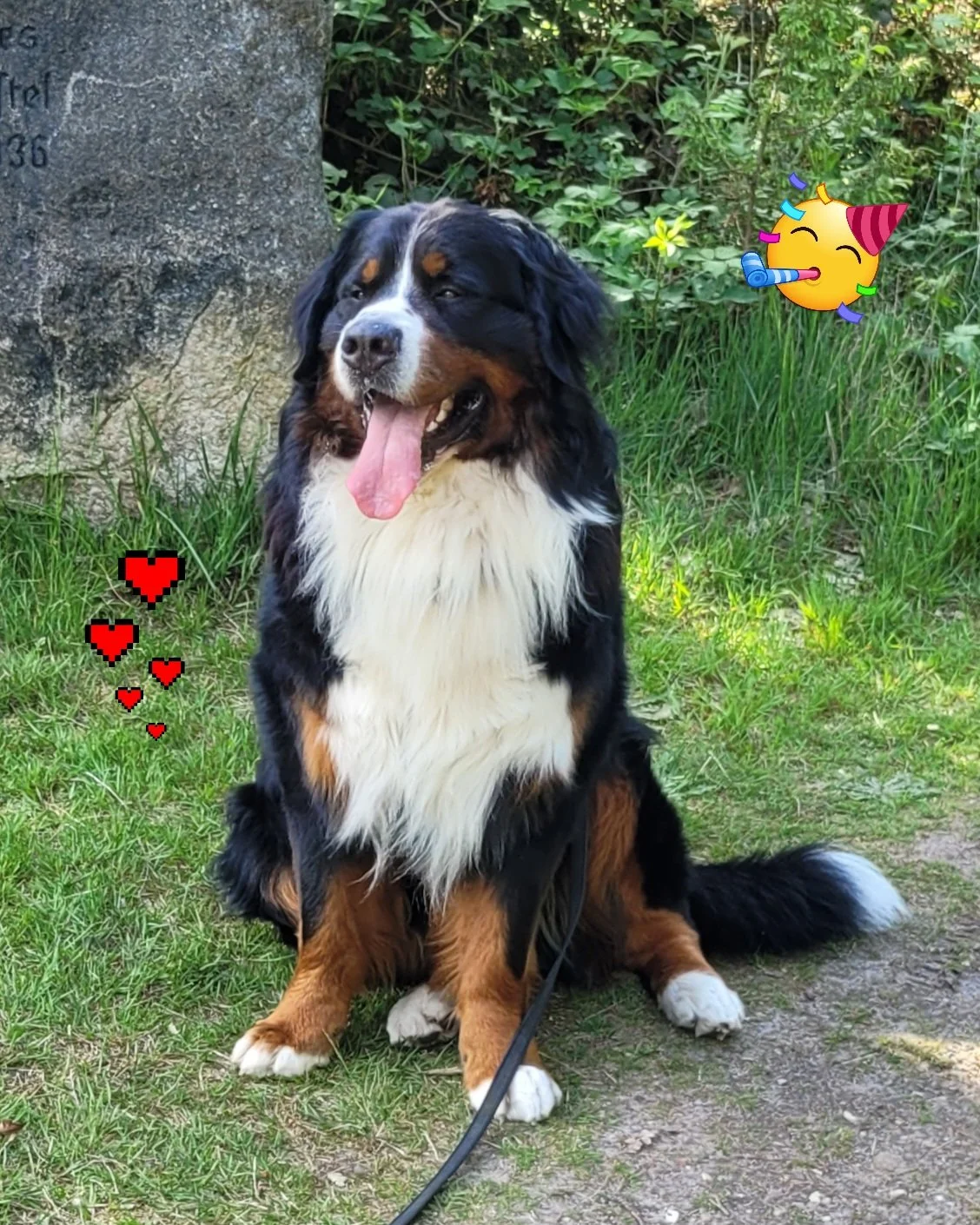 2. Geburtstag