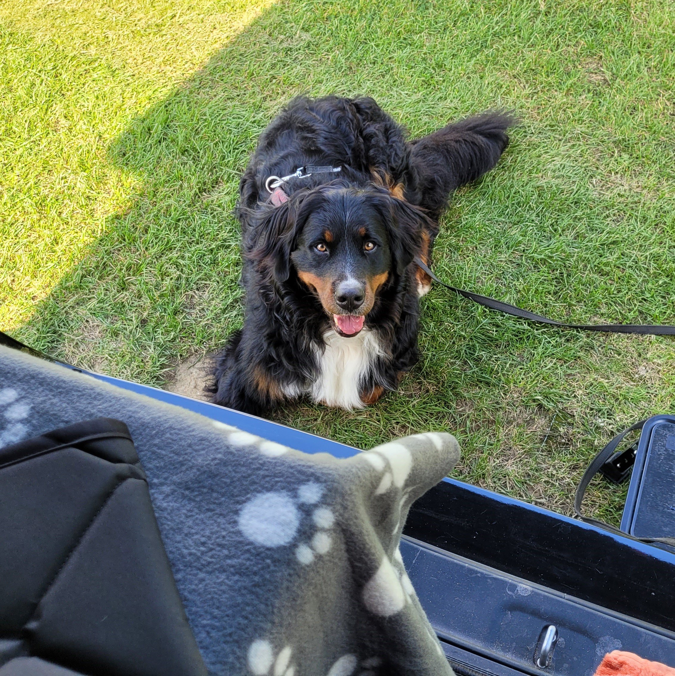 Sie mag mega gerne mit mir mit dem Van wegfahren :-)