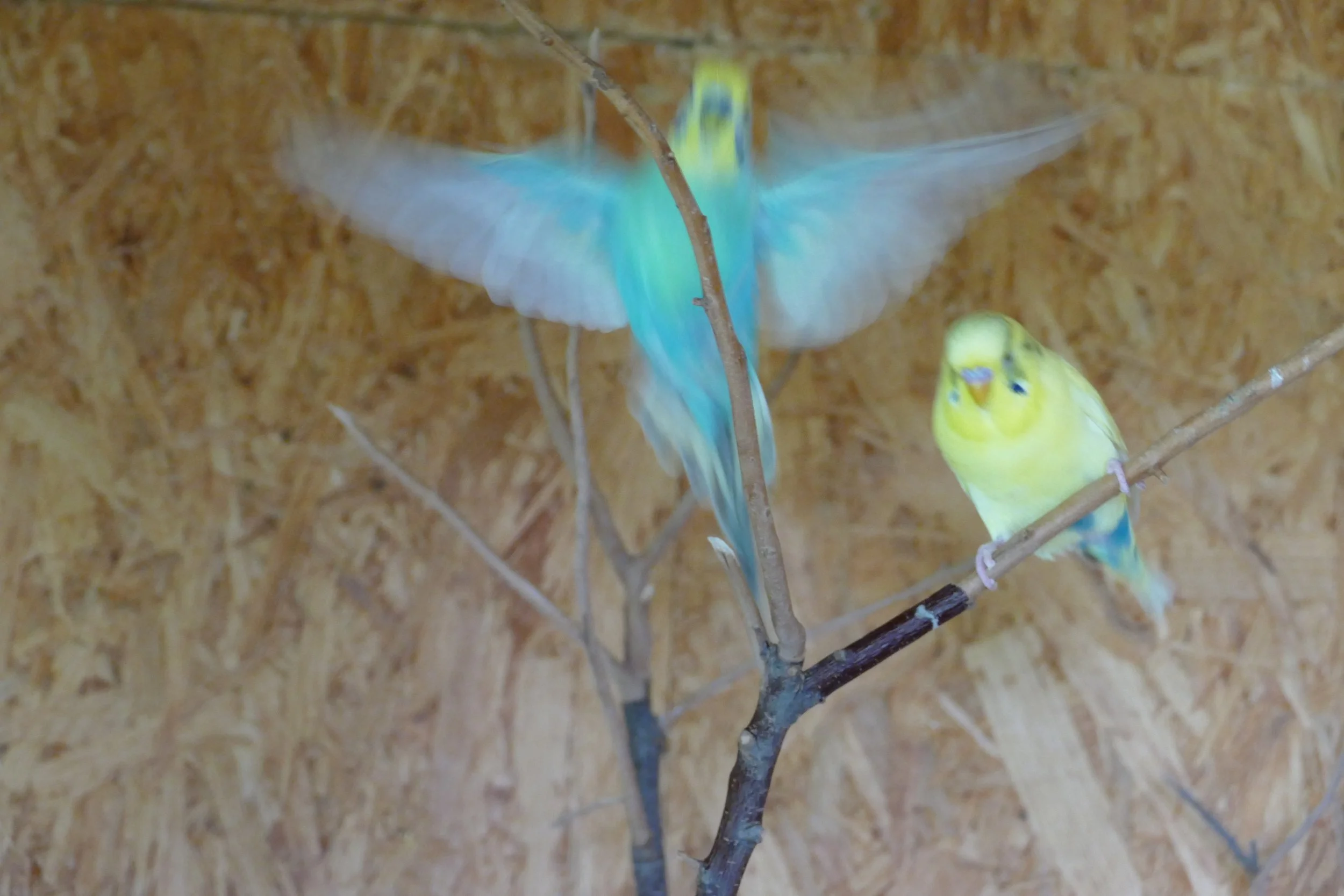 P1240355.JPG