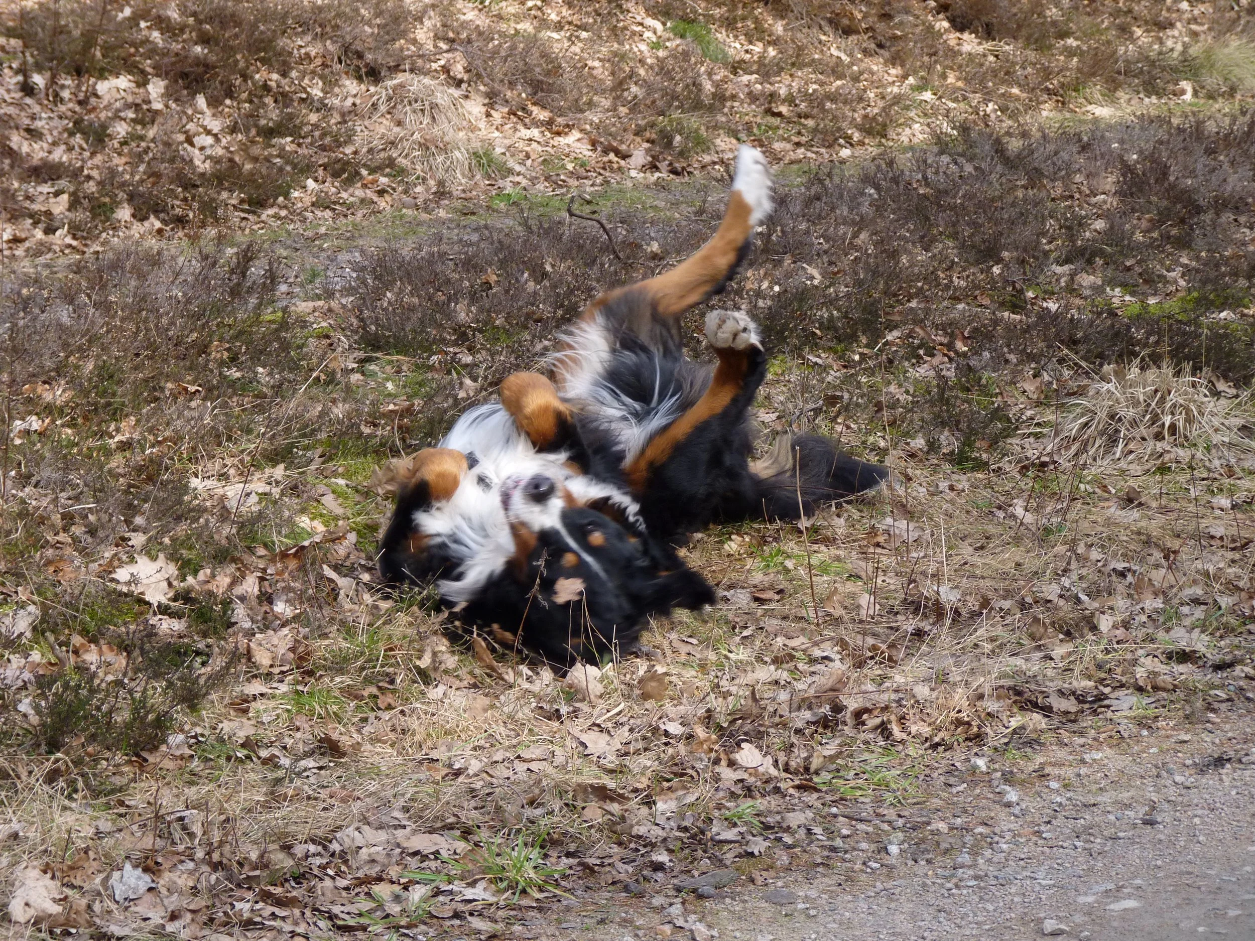 P1050790.JPG