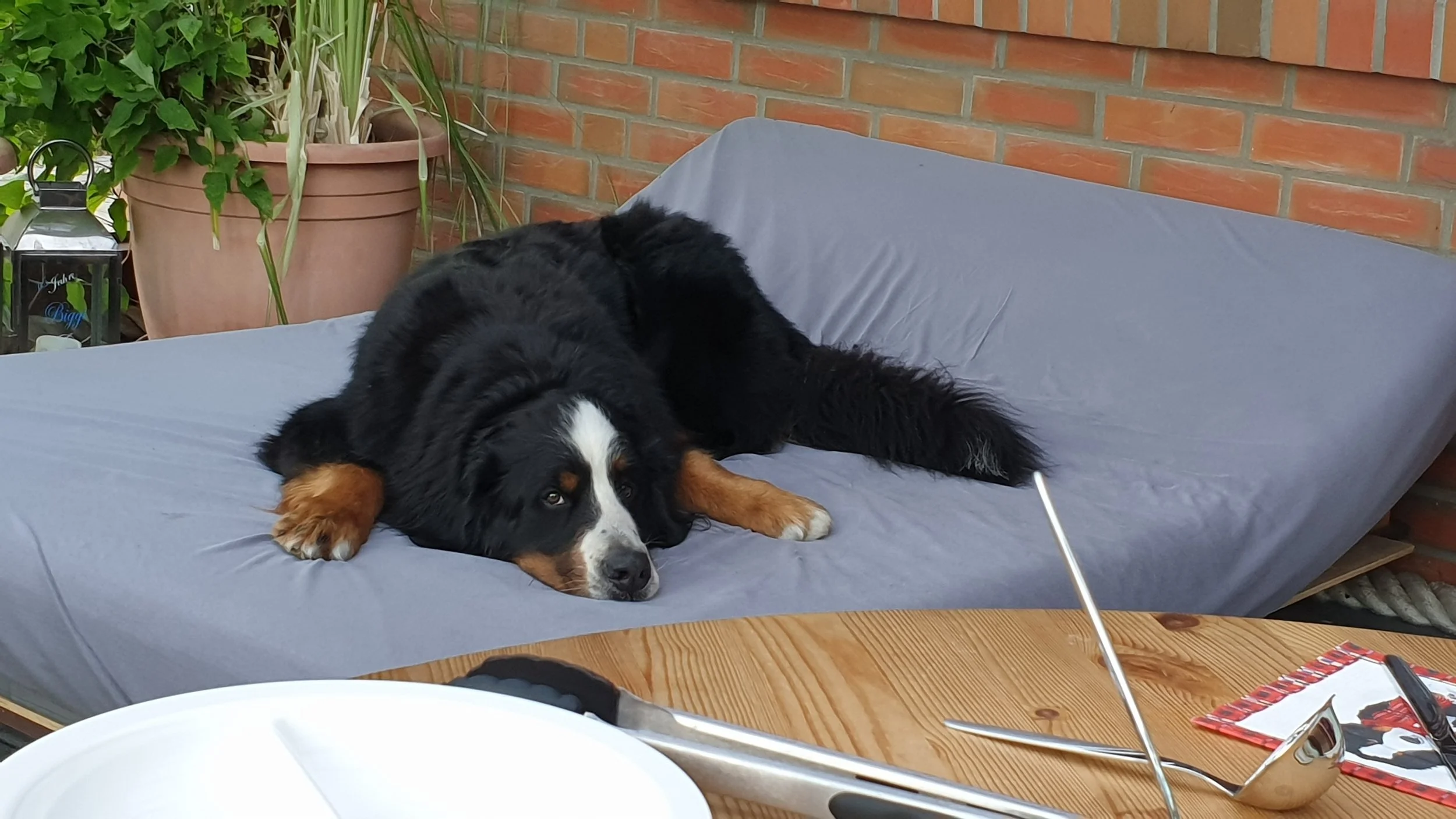 Toller Tag bei lieben Freunden :-) (2020)