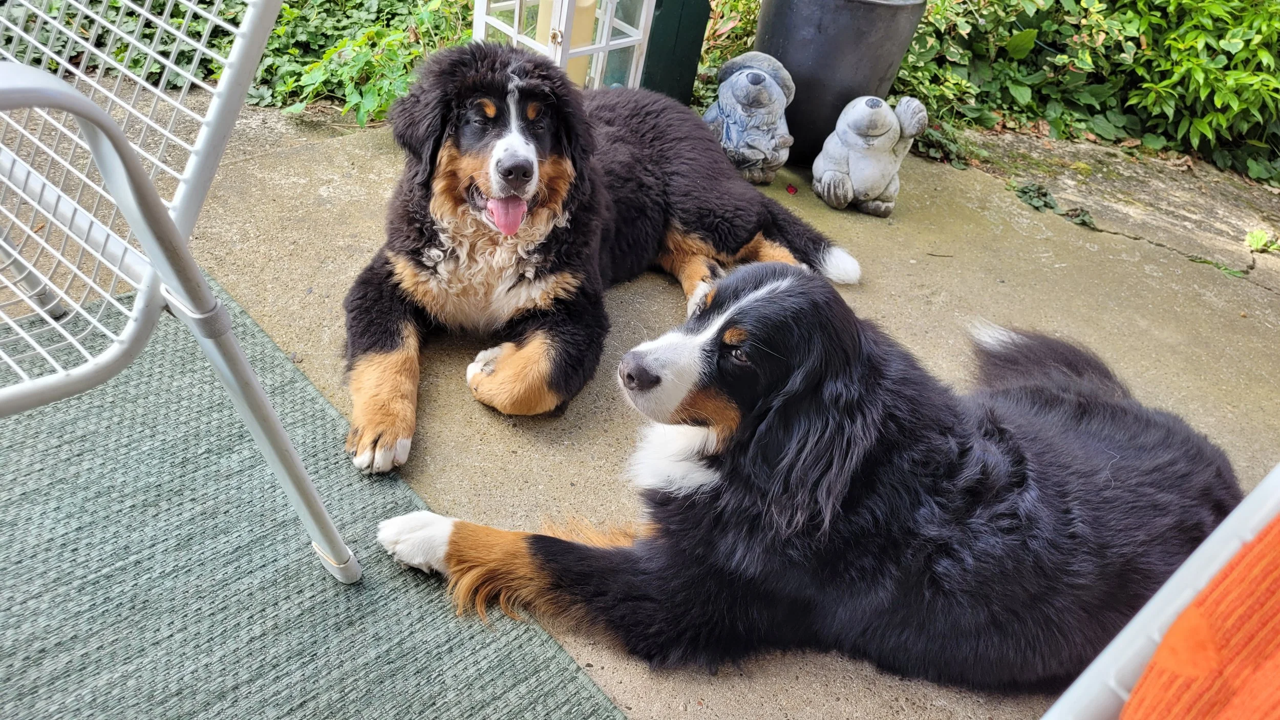 Feivel und Mila (13.9.2024)