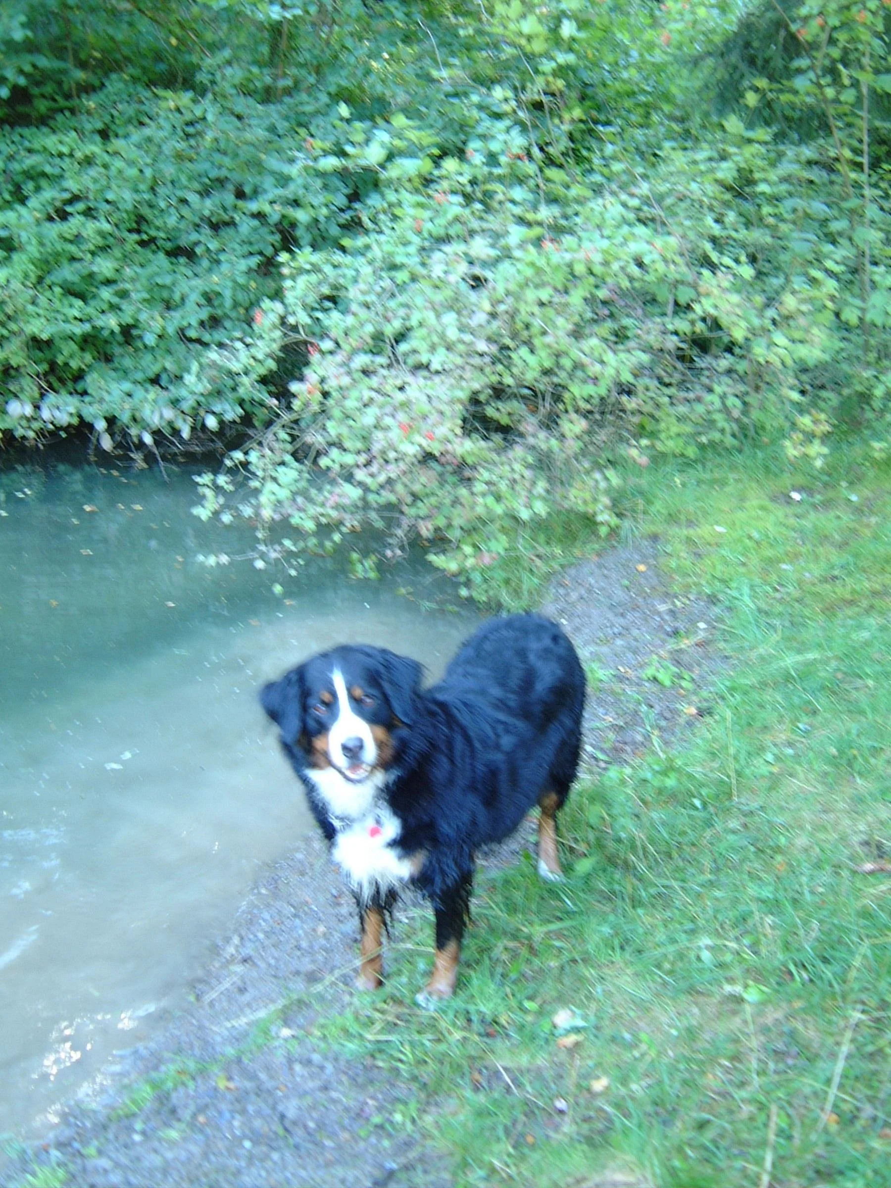 Urlaub in Züschen/Sauerland 2004