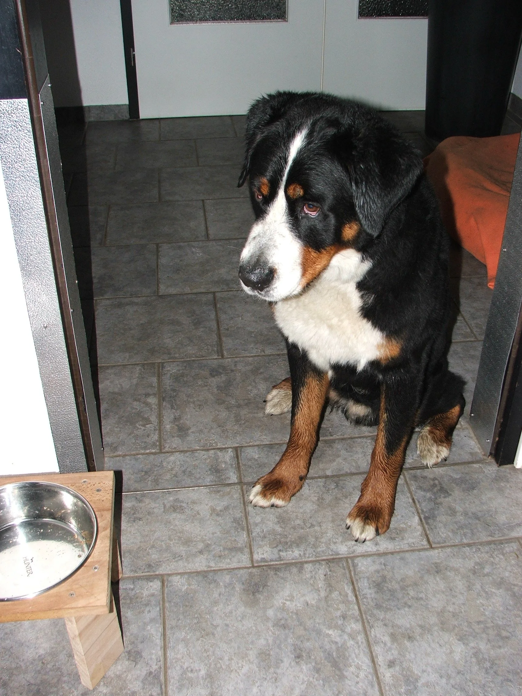 DSCF0192.JPG