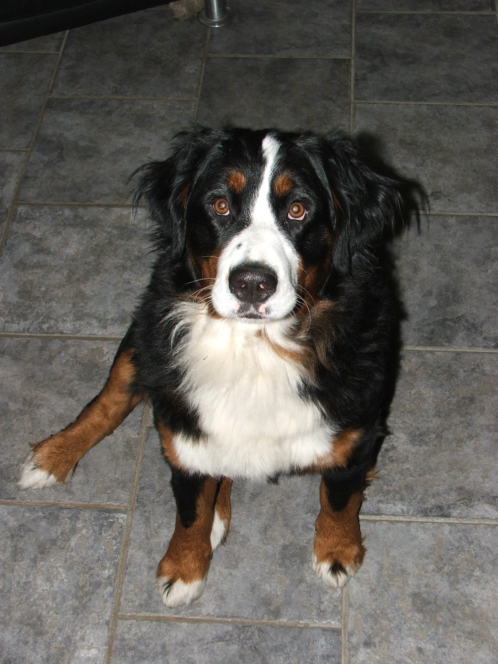 230320092.JPG