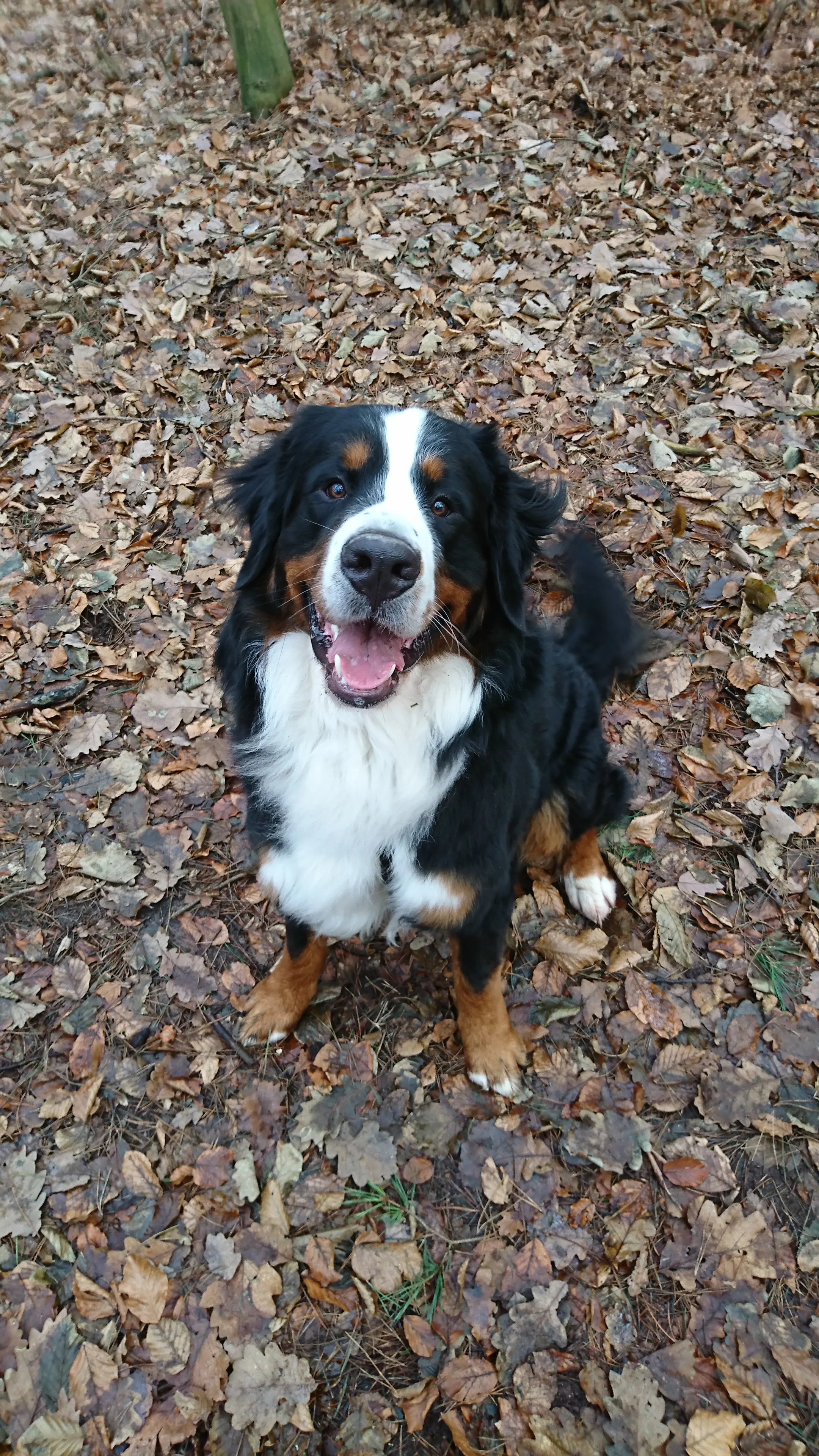 Da lacht er der "Kleine" :-)