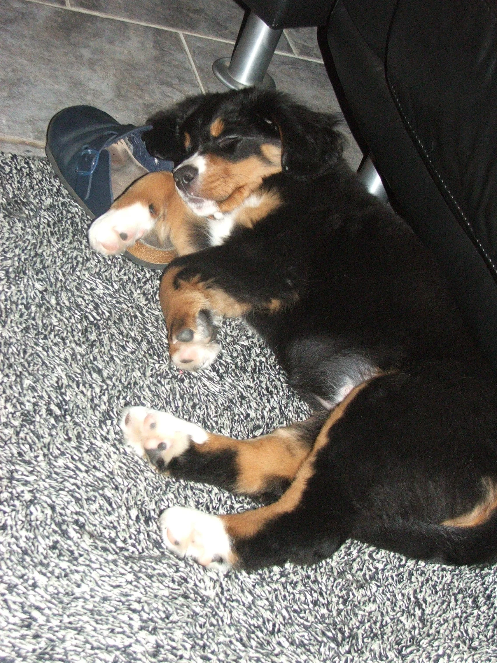 Tyla2005_1229_182354.JPG