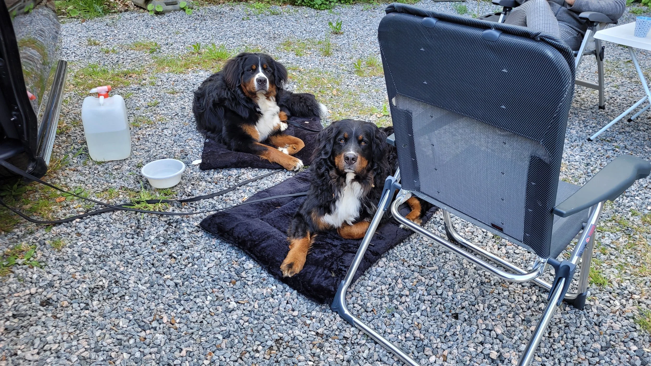 Feivel und Alani mit mir auf dem Stellplatz Festung Grauerort (Mai 2025)