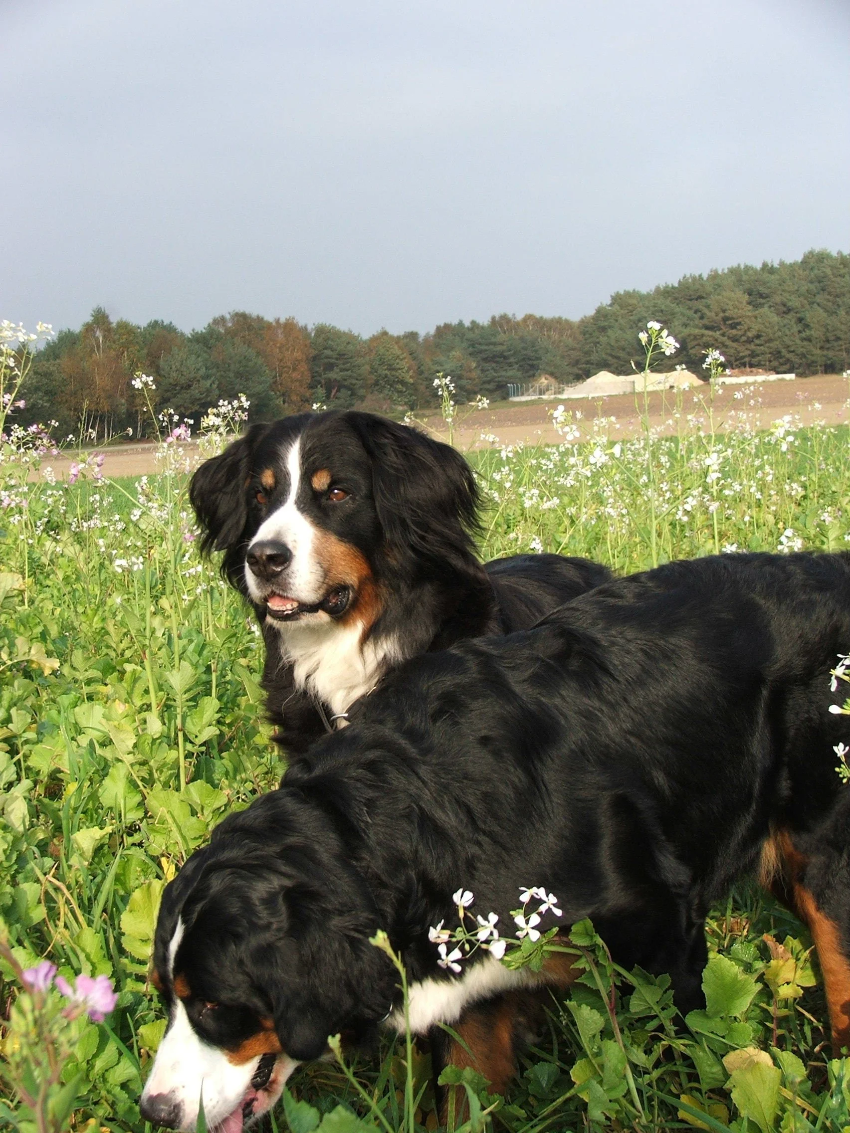 Kenya und Aimee (Herbst 2008)