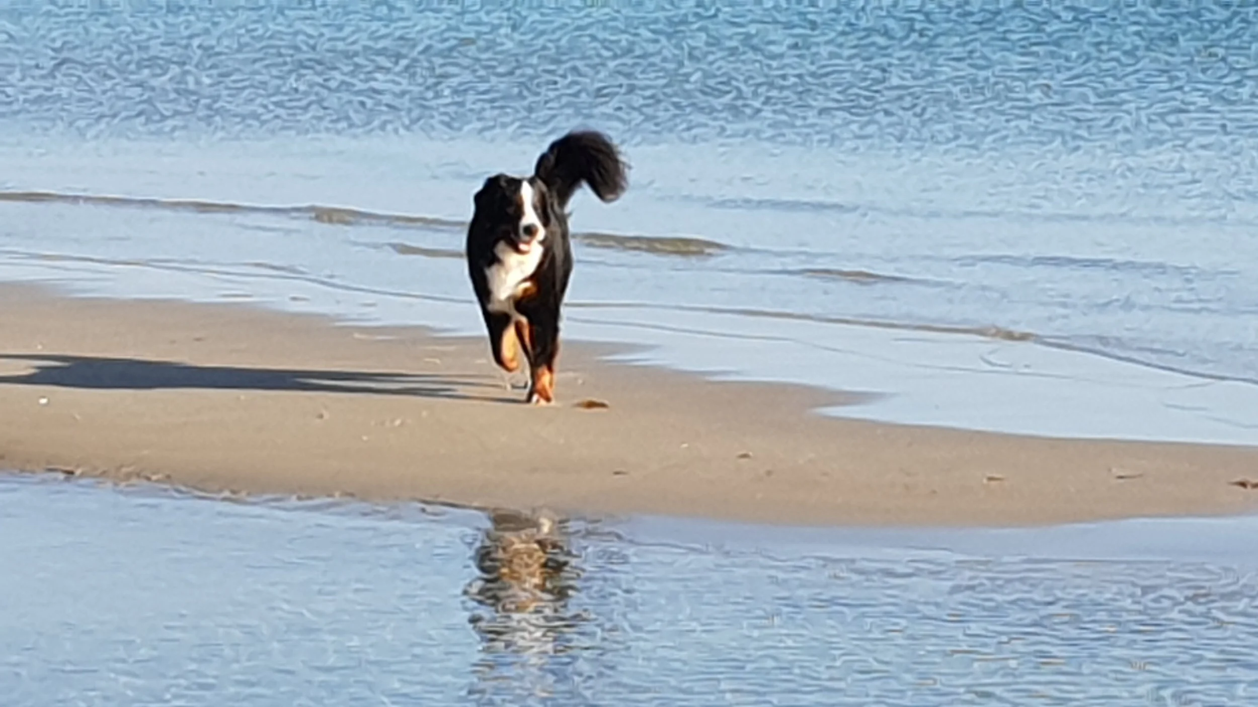 Urlaub an der Geltinger Bucht (2018)