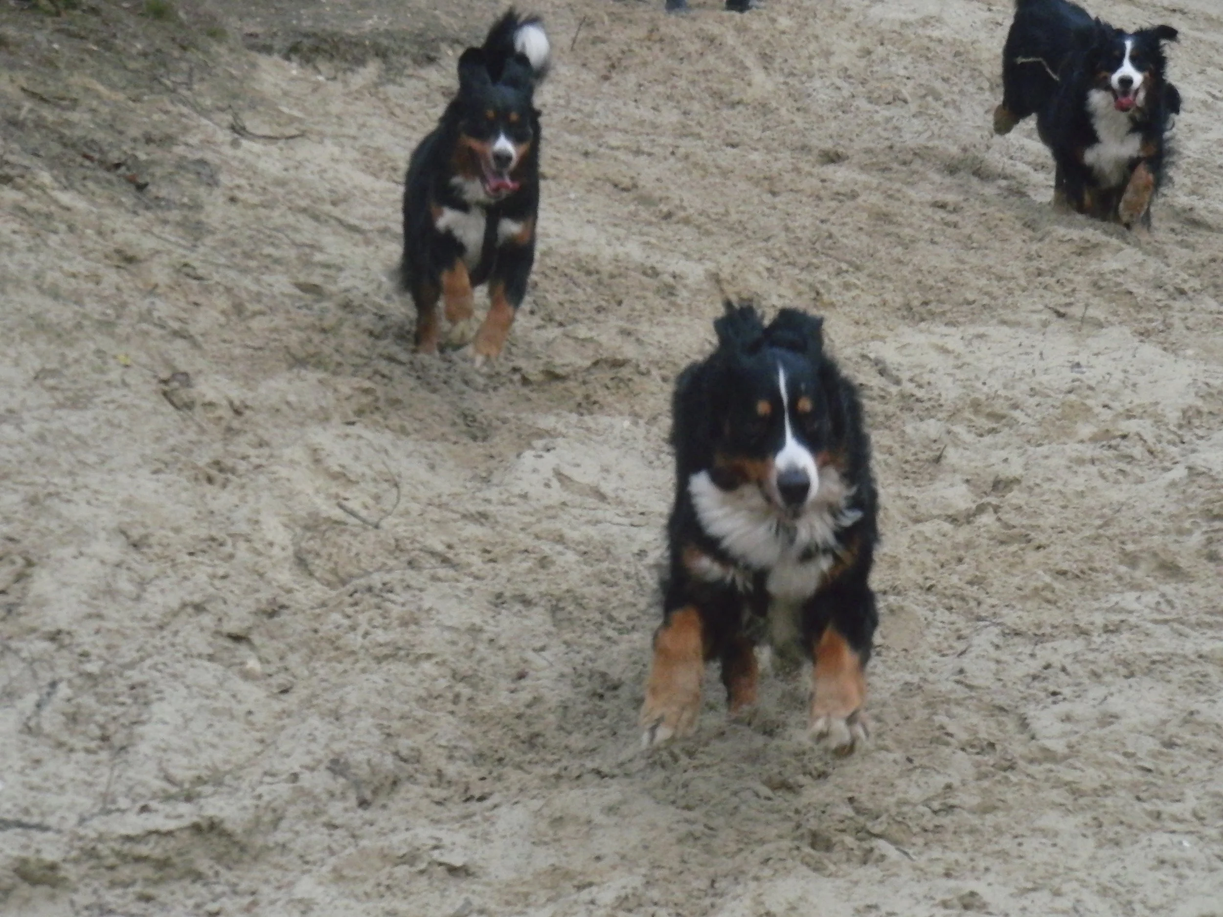 Treffen mit lieben Freunden (November 2010)
