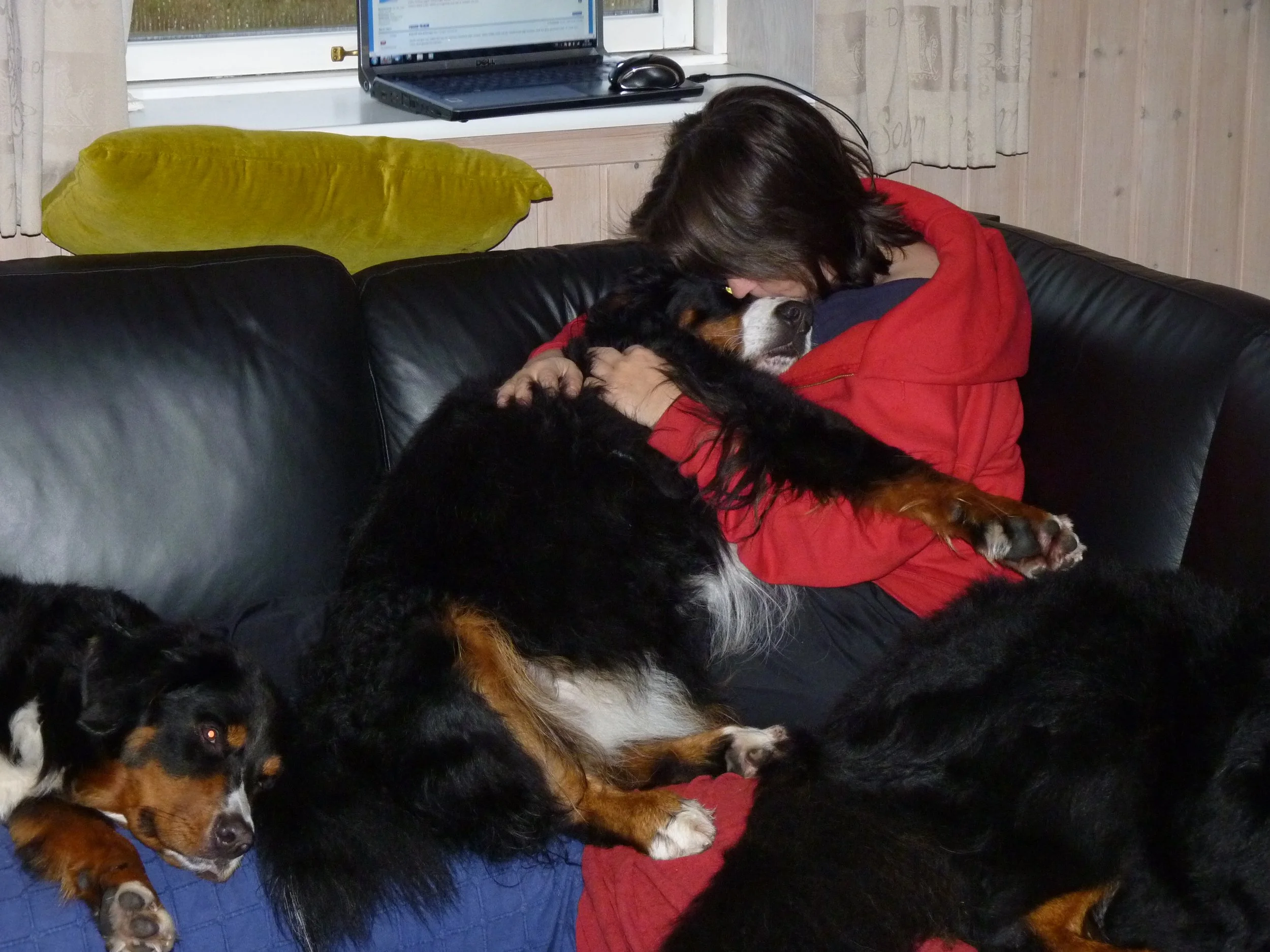 So war Aimee durch und durch, kuschelig, anhänglich, zuckersüß und einfach zum knuddeln. Wäre sie ein kleiner Hund gewesen hätte ich sie vermutlich den ganzen Tag auf dem Schoß gehabt.