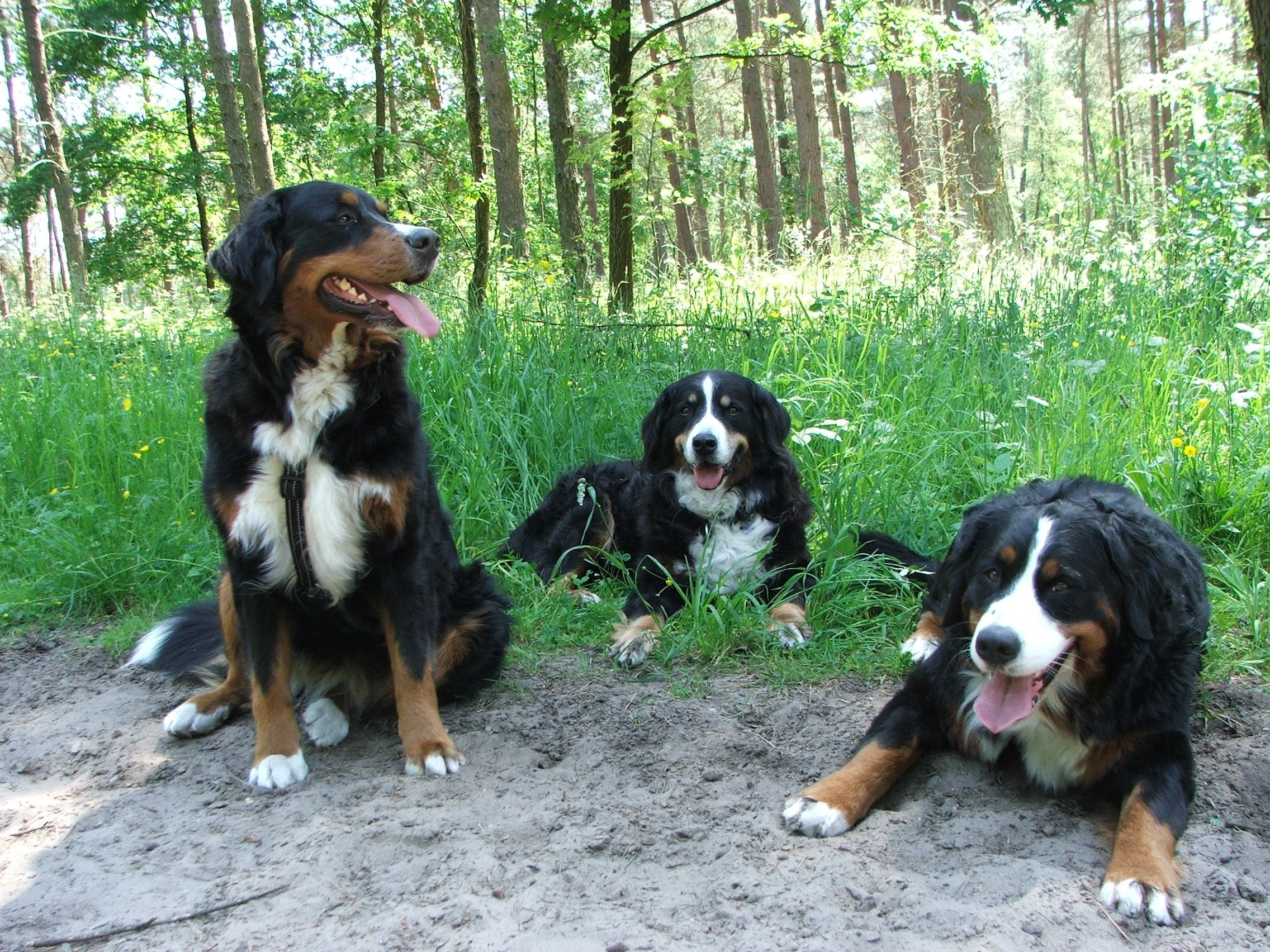 Tyla, Kenya, Aimee (Juni 2009)