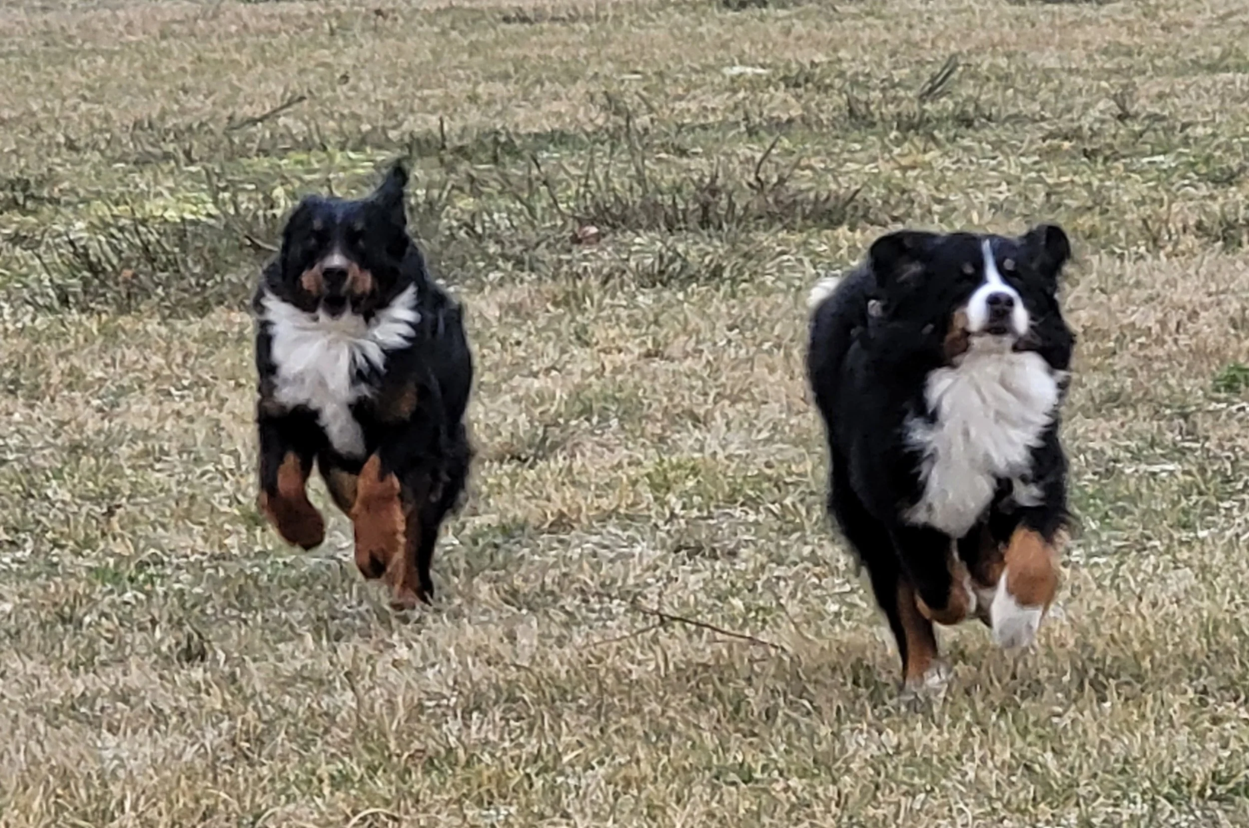 Alani und Mila