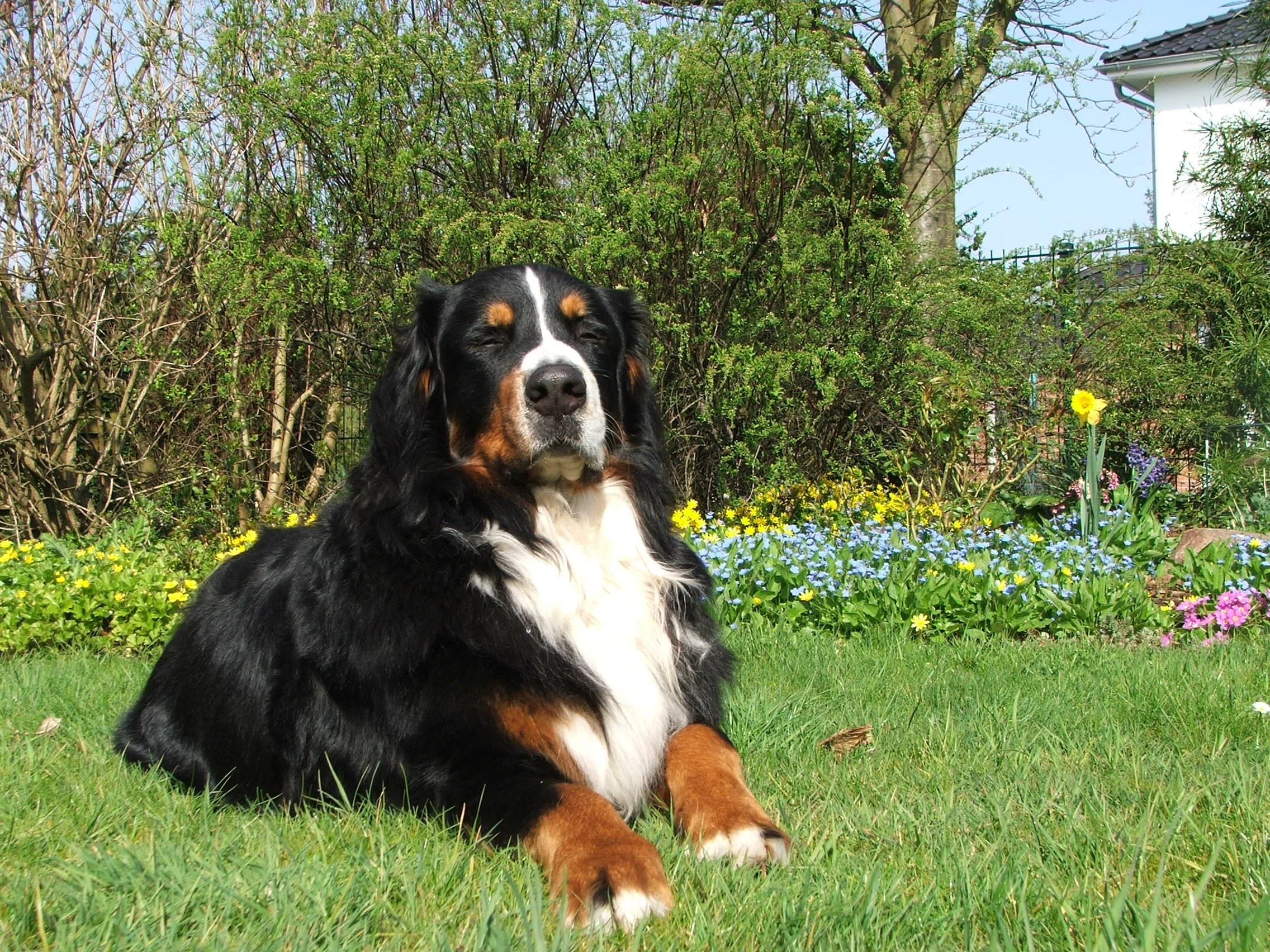 Erstes Ostern bei uns