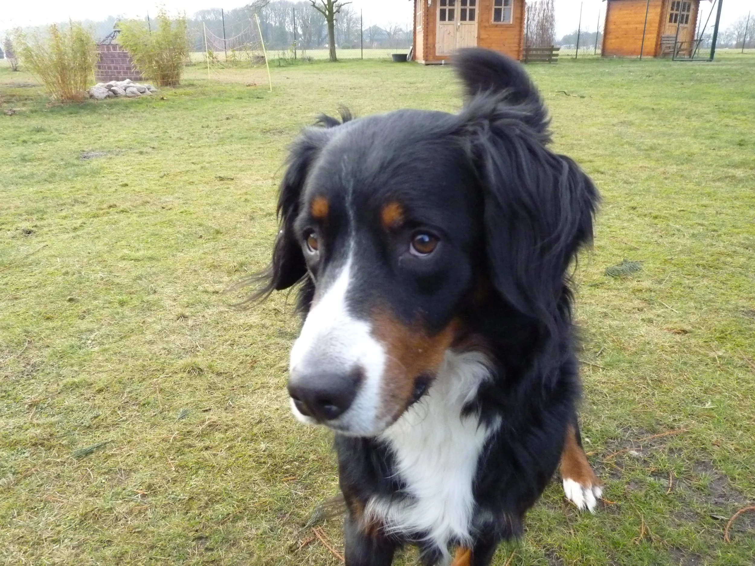 P1150552.JPG