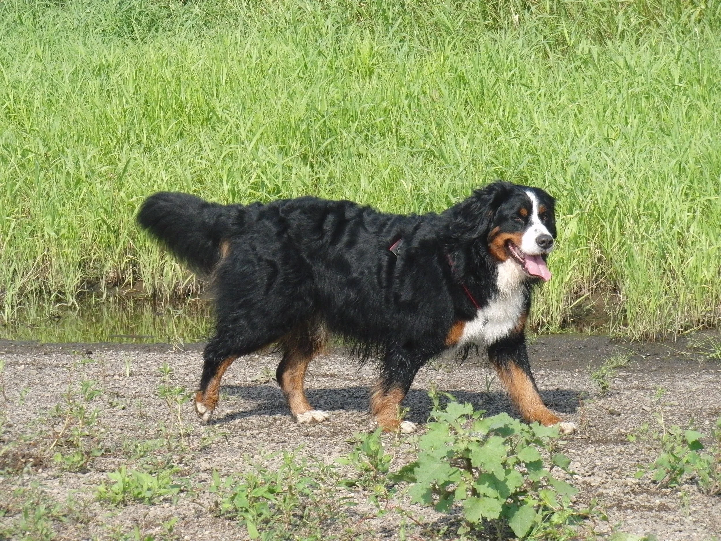 CIMG5565.JPG