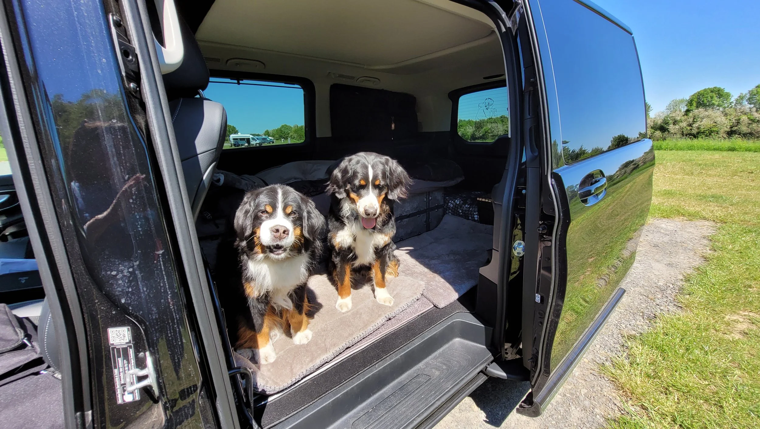 Mit Mila und Cleo auf einem tollen Stellplatz direkt an der Weser (Mai 2025). Es war leider meine Abschiedstour mit Mila. Soooo traurig!!!